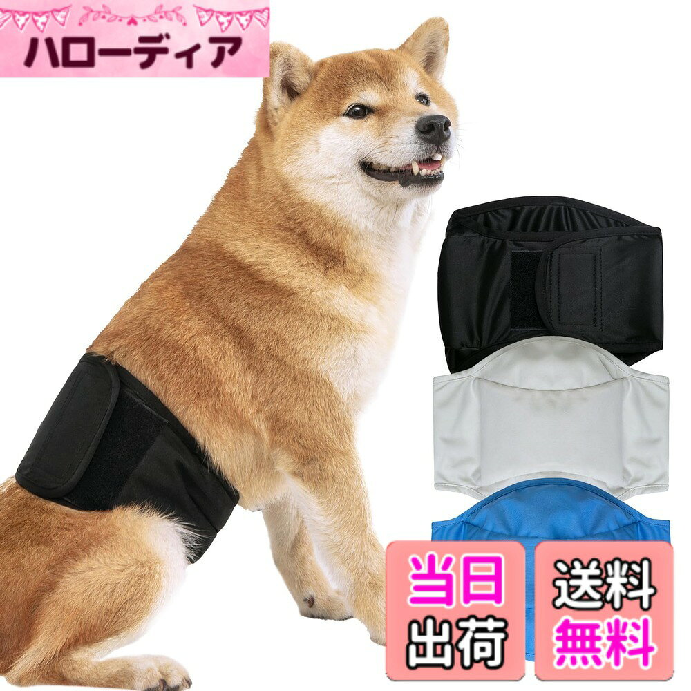 商品情報商品の説明主な仕様 通気性のあるメッシュ生地と柔らかいポリエステルで作られた犬用マナーベルト。ペット生理中、細菌感染なども予防できます。発情期のメス犬がオス犬を引き寄せて嫌がらせをする問題を効果的に防止する。マーキングや、トイレの失敗など、トイレに間に合わない老犬にも介護用としてお使いください。簡単装着、幅3.8cmの強力なマジックテープを使用。動き回ってもずれない、外れない。
