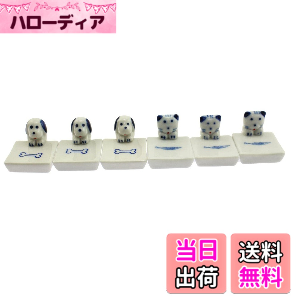 speedmao可愛いお魚を見つめ...