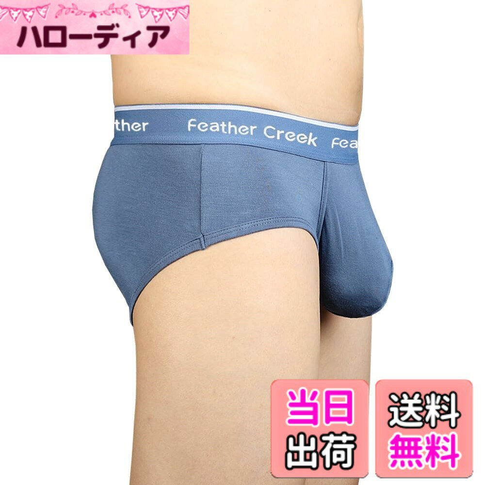 【送料無料】[Pastinde] ブリーフ メンズ 蒸れない モダール 下着 パンティー 立体...