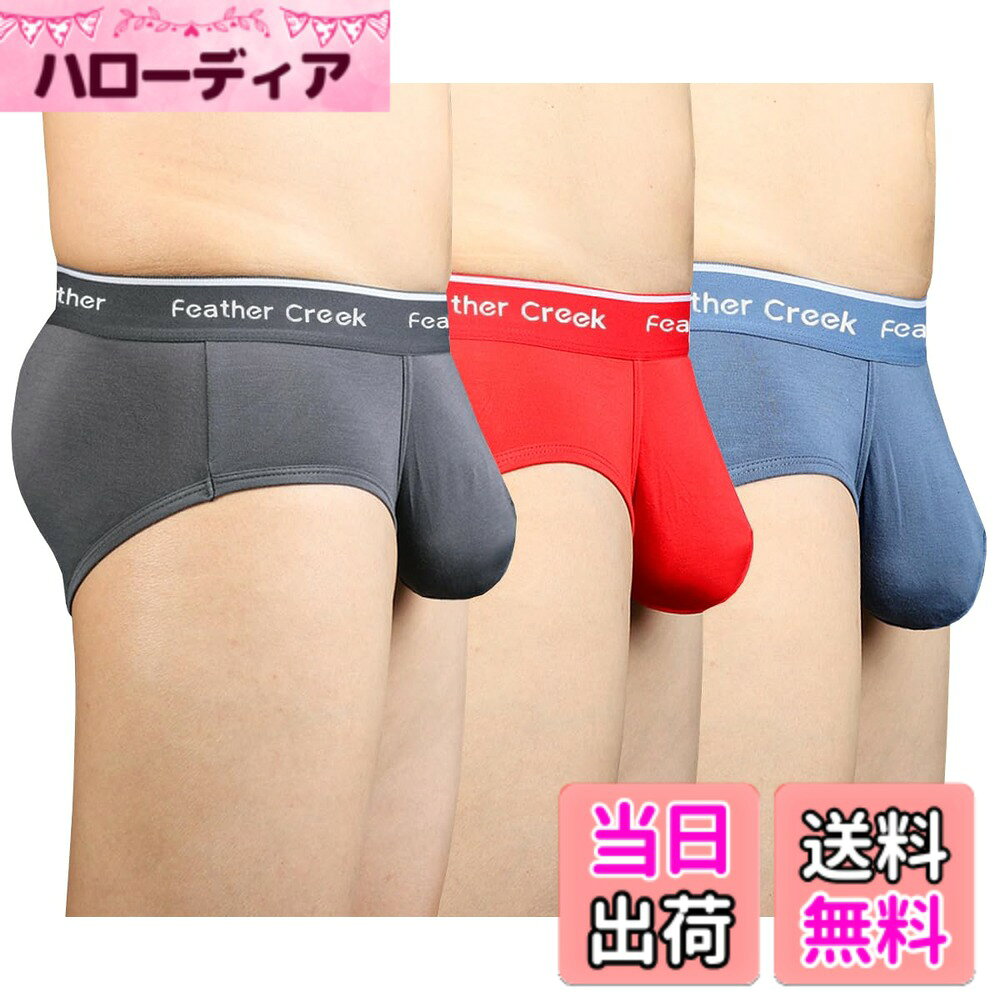 【送料無料】[Pastinde] ブリーフ メンズ 蒸れない モダール 下着 パンティー 立体...