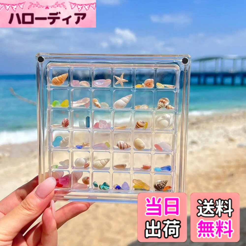 楽天市場】貝殻（収納家具｜インテリア・寝具・収納）の通販
