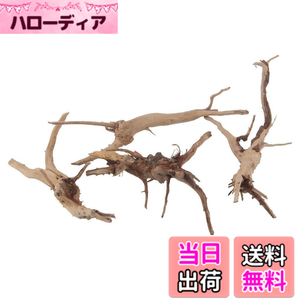 【送料無料】emours 自然流木 水族館シンクエイブル流木水槽の装飾 小 10-15cm 4個入り 色：クリーム、サイズ：S