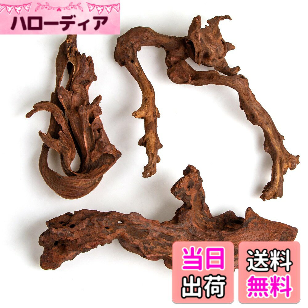 【送料無料】emours Mopani 水族館 流木 魚飼育用の水槽 アクアスケープウッド エビ&ベタ用 テラリウムや爬虫類用 枝詰め合わせ 3個パック 色：天然水族館流木。、サイズ：Small (8−12 in / 20−30 cm)