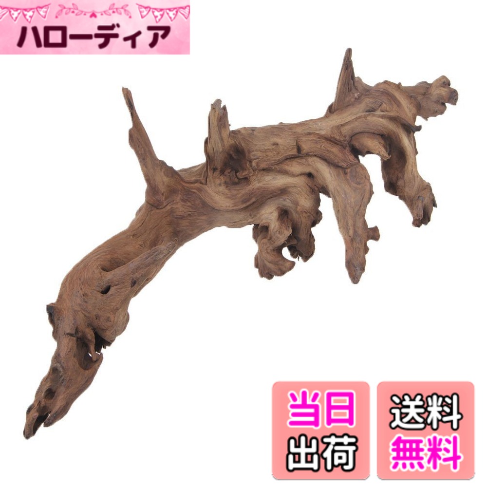【送料無料】流木 水族館シンクエイブル流木水槽の装飾 大