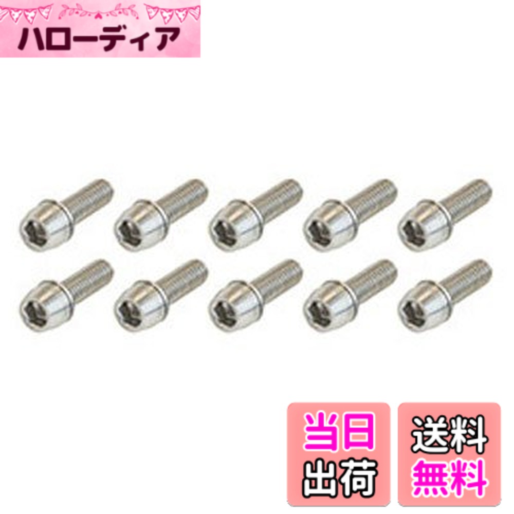 【送料無料】アデプト AS6 ステンレス ボルト 10本セット M6x16mm(BOS00500)