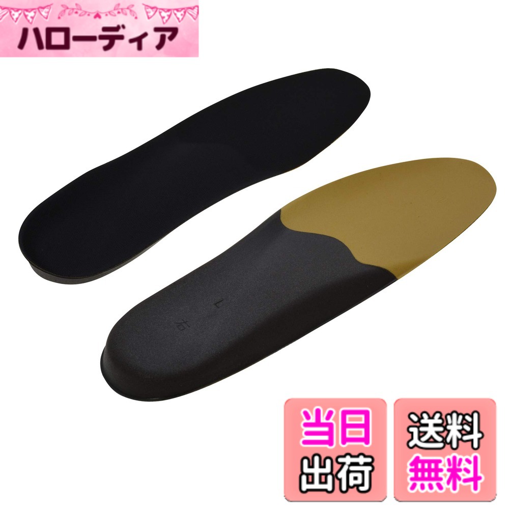 【送料無料】インソールプロ(靴用中敷き) O脚対策 メンズ・男性用 L(26~27cm) 色：ブラック、サイズ：L