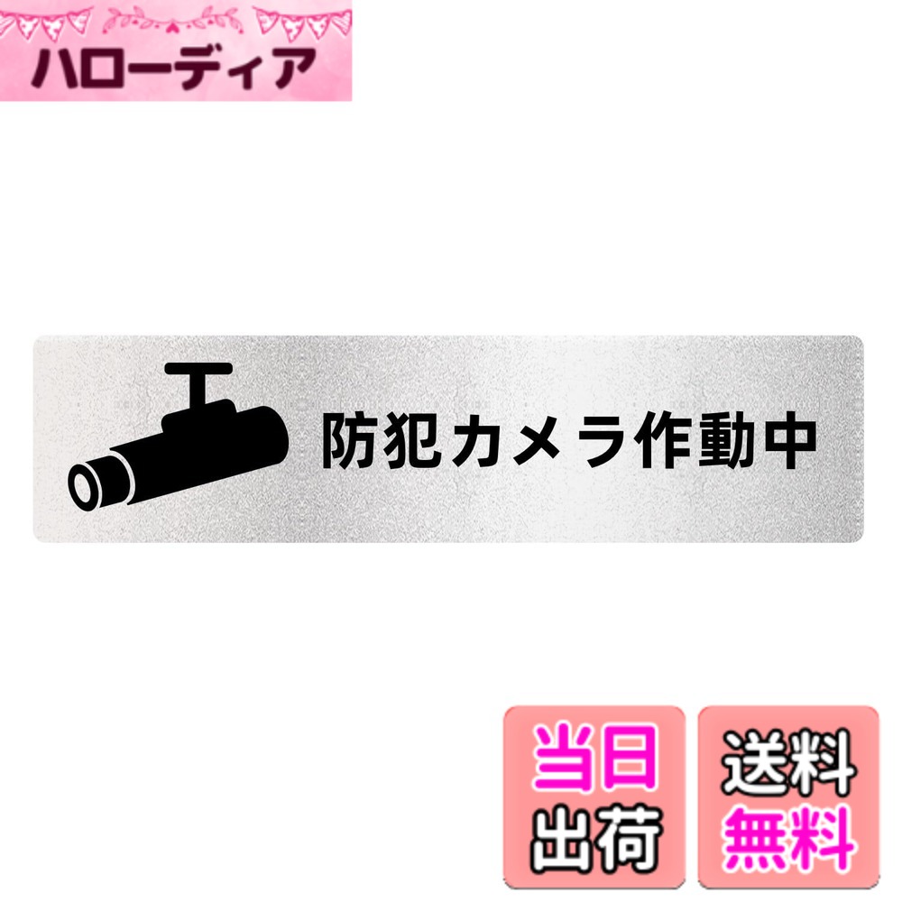 【送料無料】防犯カメラ作動中 サインプレート（両面テープと磁石付き）2mm厚 16x4cm アクリル製 軽量 耐水 耐候 グレー 銀 シール式 (1枚入り ヨコ型) 色：防犯カメラ作動中（ヨコ型）