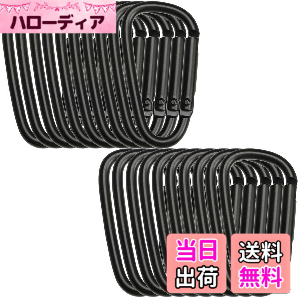 【送料無料】REIYAIBA アルミニウム合金製 Dリング カラビナ 20個セット 超軽量 複数用途 キャンプ ハイキング トレッキング 釣り アウトドア用フック 色：ブラック、サイズ：L
