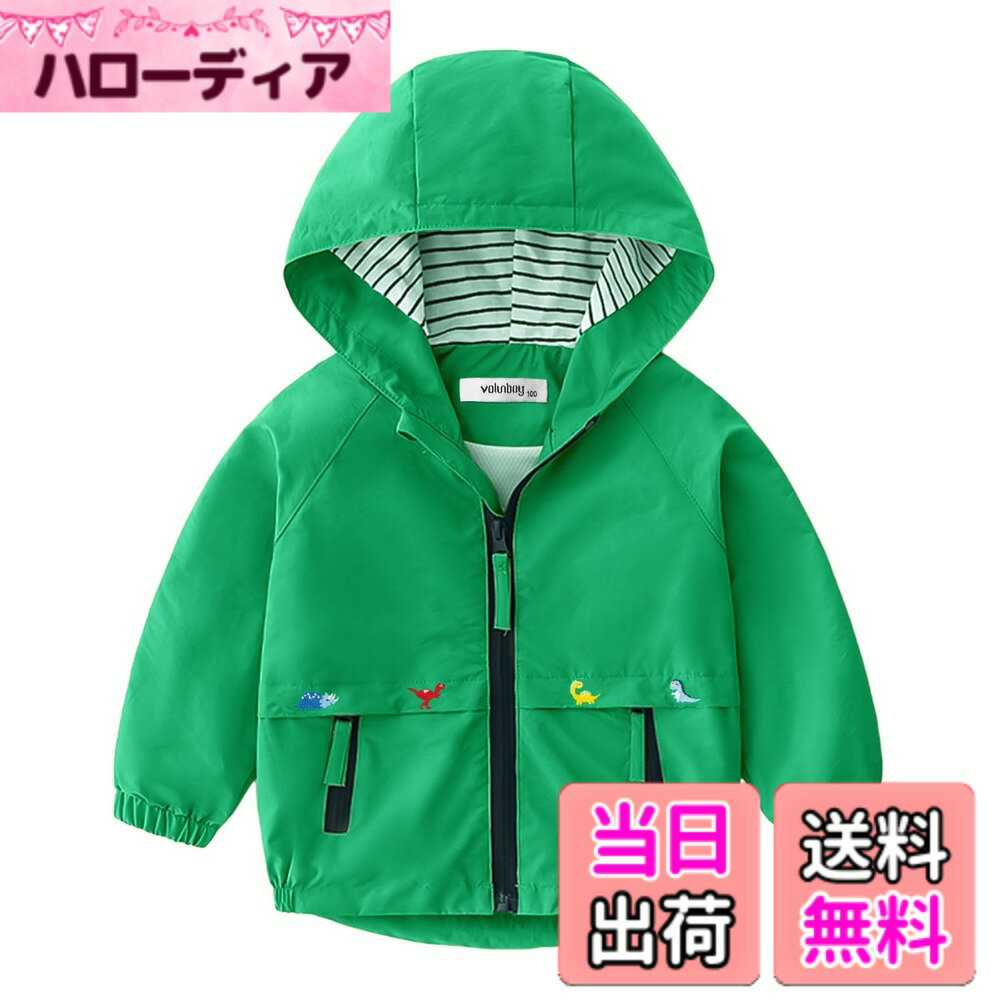 Jacket - 【送料無料】Volunboy ウインドブレーカー キッズ 男の子 軽量 裏地付き 子供服 ベビー服 アウター マウンテンパーカー 撥水 防風 防寒 80-140cm 色：グリーン(無地)、サイズ：120