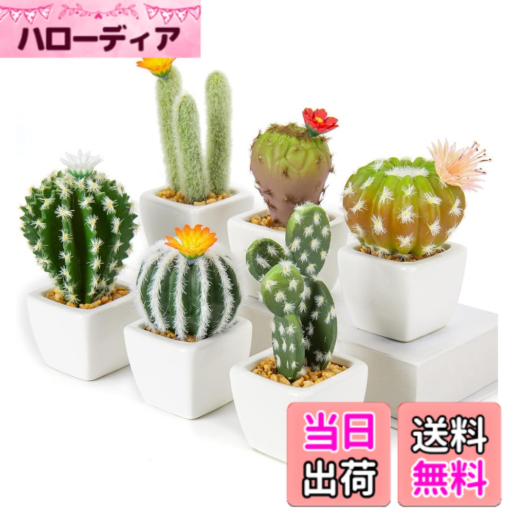 【送料無料】Villa Como フェイクグリーン インテリアグリーン サボテン 多肉植物ミニ 人工 観葉植物 卓上 鉢植え エアプランツ テーブルデコレーション 造花 おしゃれ 可愛い ギフト 色：白い陶器付き、サイズ：小さい