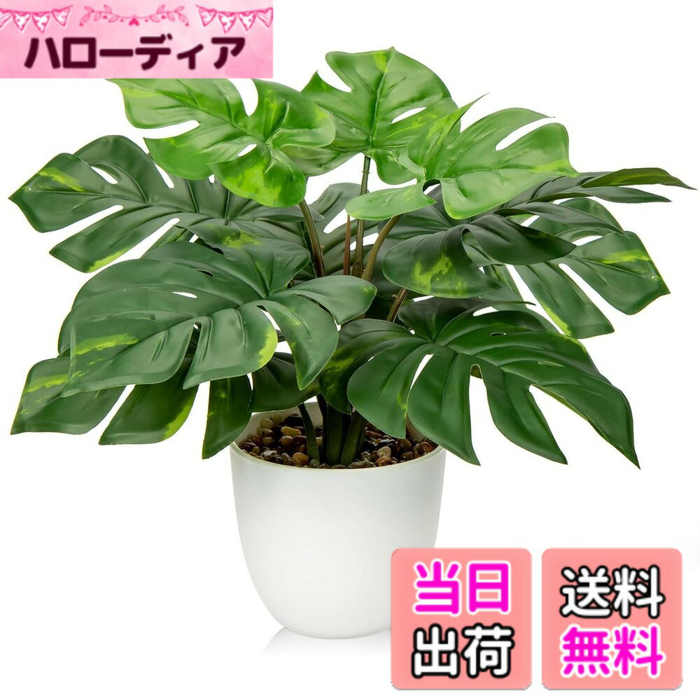 【送料無料】Villa Como フェイクグリーン インテリアグリーン 人工 観葉植物 フェイク ヤシ モンステラ ヒトデカズラ 室内 大型 簡単保 水やり不要 害虫駆除不要 おしゃれ ギフト (ヒトデ) 色：観葉植物-B、サイズ：小さい