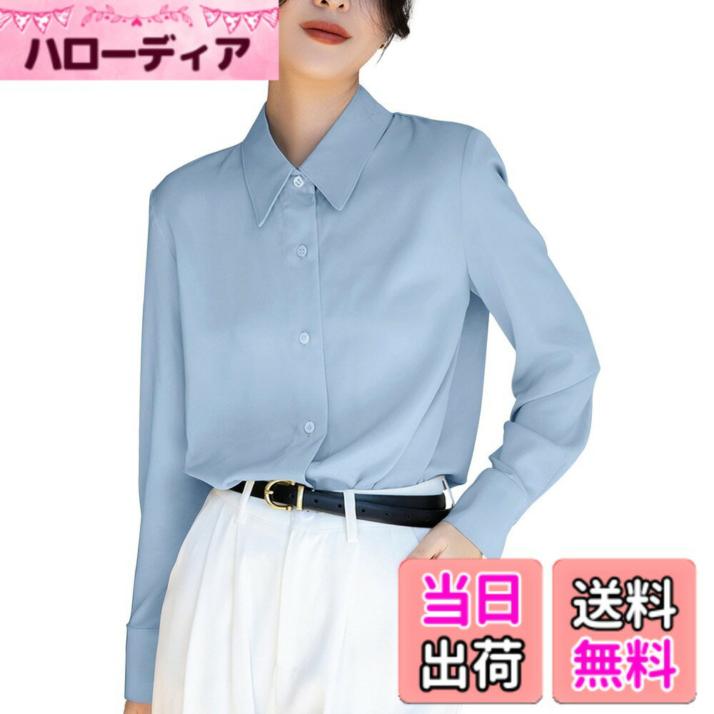 Other - 【送料無料】[RCL] レディ シャツ ブラウス レディース ワイシャツ 長袖 無地 オフィス 事務服 女性 おしゃれ 形態安定 シフォン カジュアル フォマール 通勤 トップス 秋 春 色：水色、サイズ：XL
