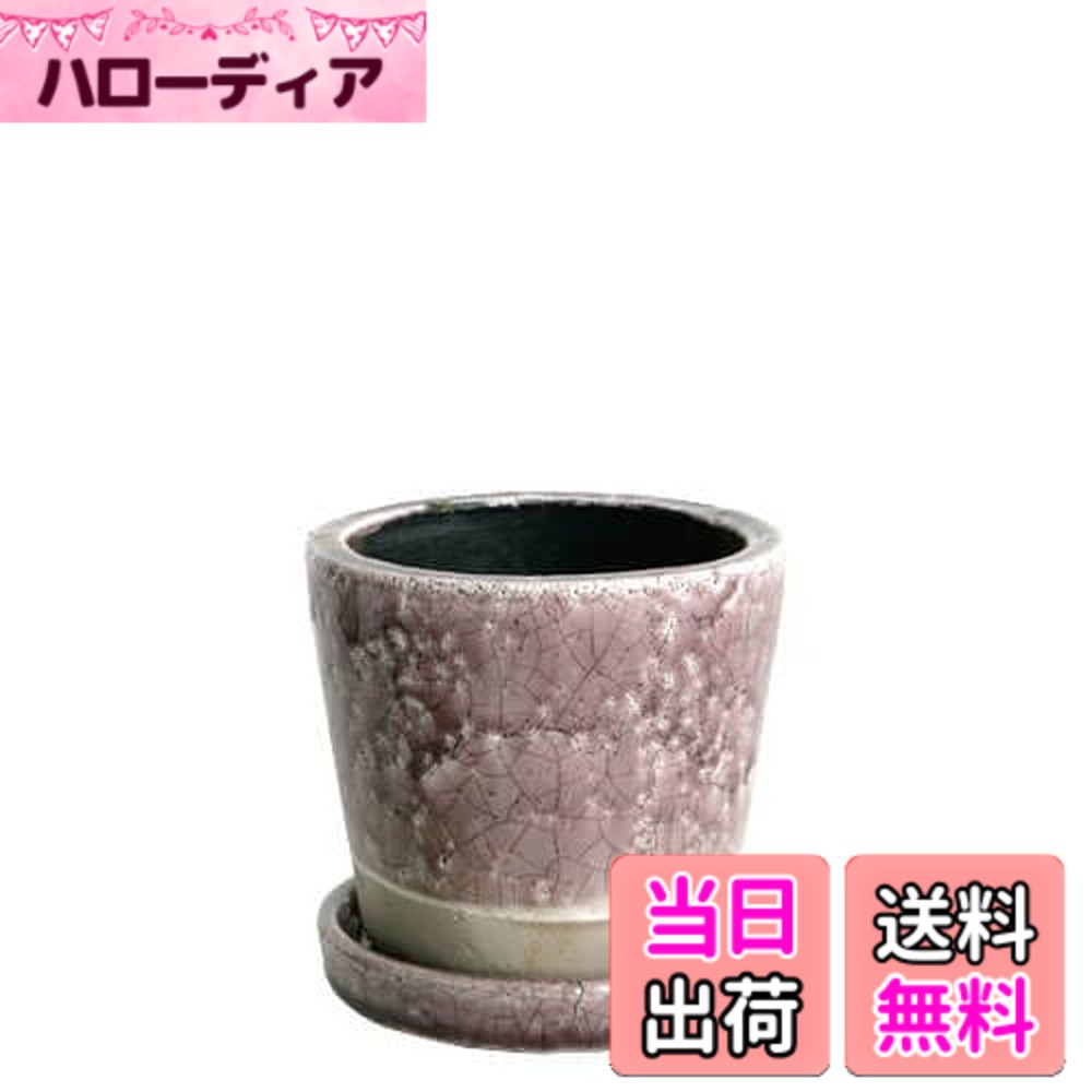 商品情報商品の説明豊富な色展開を誇るカラーポット。 単調な色使いになりがちなガーデニングアイテムも、 色とりどりのカラーポットを加えることで華やかな、 心浮き立つコーディネートが可能に。 屋内のインテリアのポイントにもなります。 表面のクラックや色むらも味わい深い、何とも可愛いポット達。 【商品に関する注意事項】 本製品はハンドメイドの為、形・サイズ・焼き色に個体差があります。 表面の傷・ピンホールや素地部分・底穴周りのヒビ等もございます。 また、釉薬のかかり方によって色ムラがあったり、焼いている最中にできた細かなヒビ（貫入）やゆがみが見られる場合があります。 製品の特性としてご理解下さい。主な仕様 サイズ : S、高さ95mm、上部 : 直径105mm、内径 : 直径80mm、底部 : 直径80mm、内径 : 直径70mm、受皿 : 高さ18x直径100mm・カラー : ライトパープル材質 : テラコッタ原産国 : 中国適合サイズ : 2.5号鉢仕様 : 底穴あり