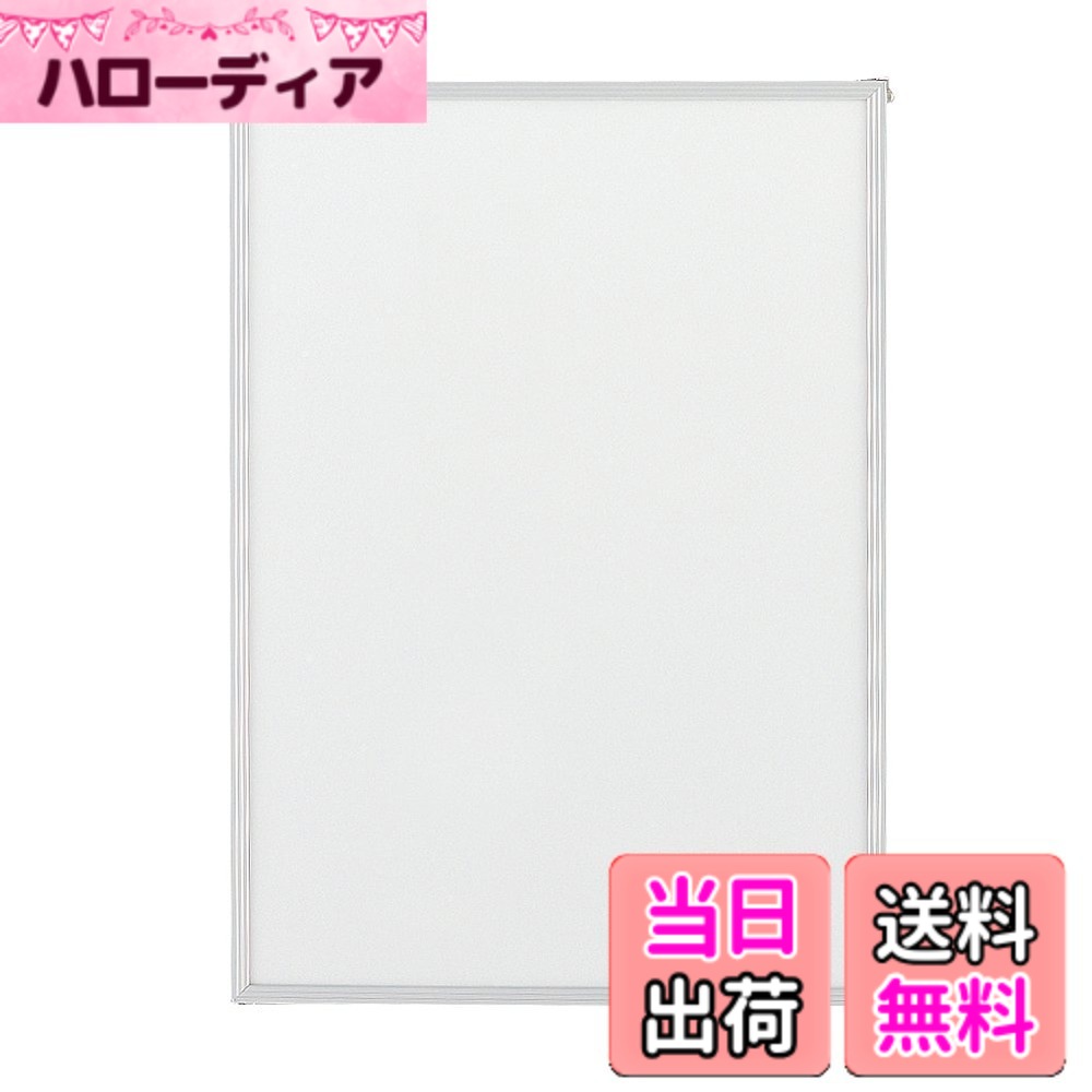 【送料無料】ライオン事務器 ポスターパネル PICTURE_FRAME サイズ：A2