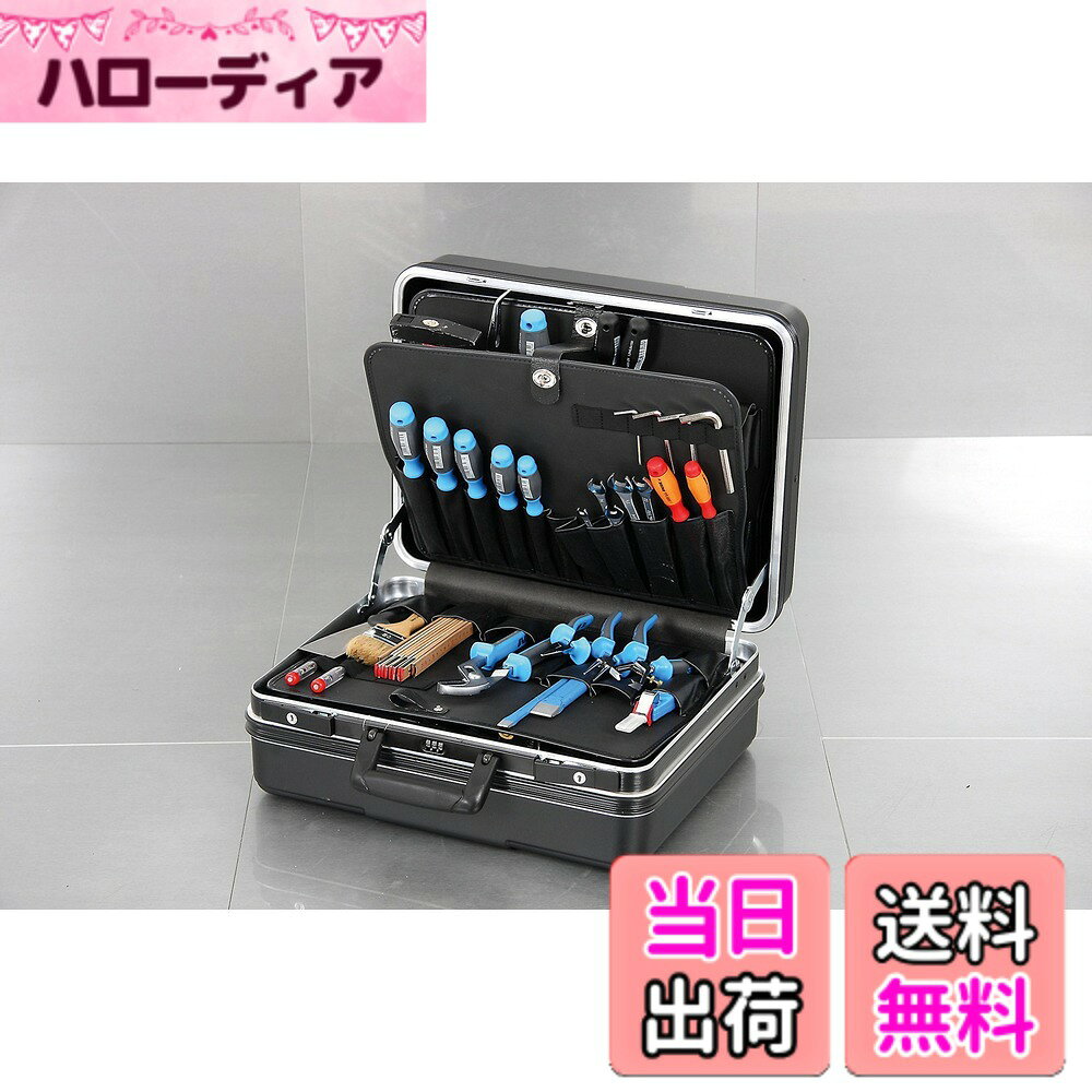 商品情報商品の説明ドイツ製のプロフェッショナルモデルです。 人間工学に基づく安定したハンドル付です。 3連ダイヤルロックと2つのフリップロックでケースのフタを固定します。 付属品のツールプレートは簡単に取り外しできます。 工具収納用、工具保管用。主な仕様 色：ブラック最大荷重重量(kg)：40br有効内寸(mm)間口x奥行x高さ：470x220x360br外寸(mm)間口x奥行x高さ：490x220x380brABS樹脂ツールプレート(3053668019・3053648019):各1枚