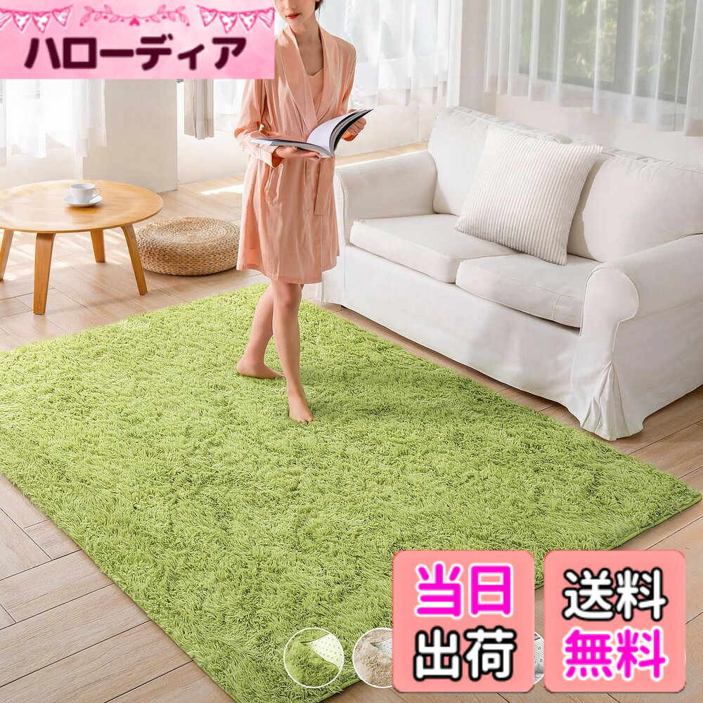 【送料無料】Beddiny カーペット ラグ ホットカーペット 色：グリーン、サイズ：160*200cm