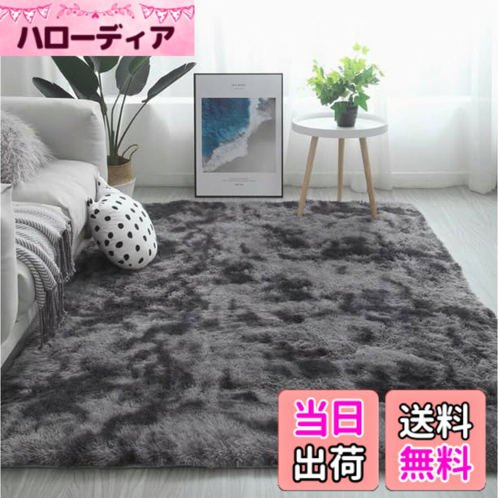 【送料無料】Bestome カーペット ラグ マット 滑り止め付 洗えるラグ 抗菌 ふわっとした手触り 防音絨毯 色：ダークグレー、サイズ：200x300CM