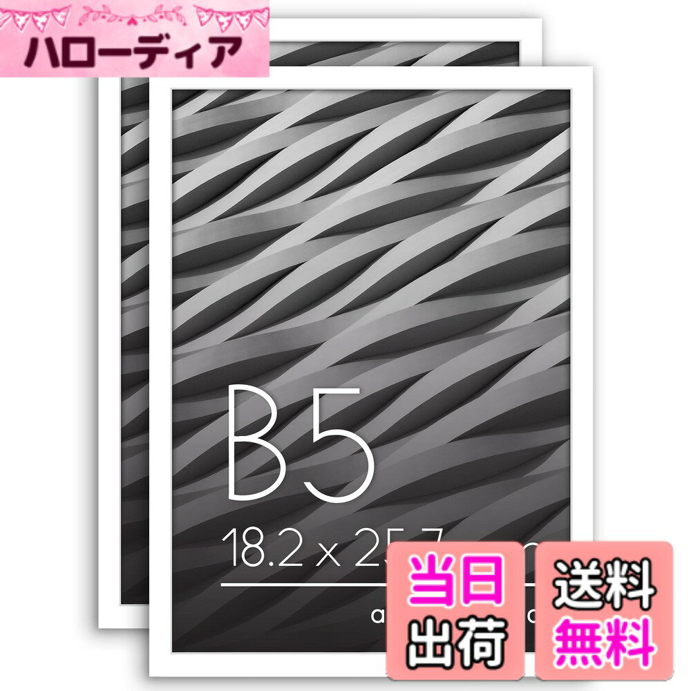 Americanflat Picture Frame LX - Parent 色：ホワイト、サイズ：B5