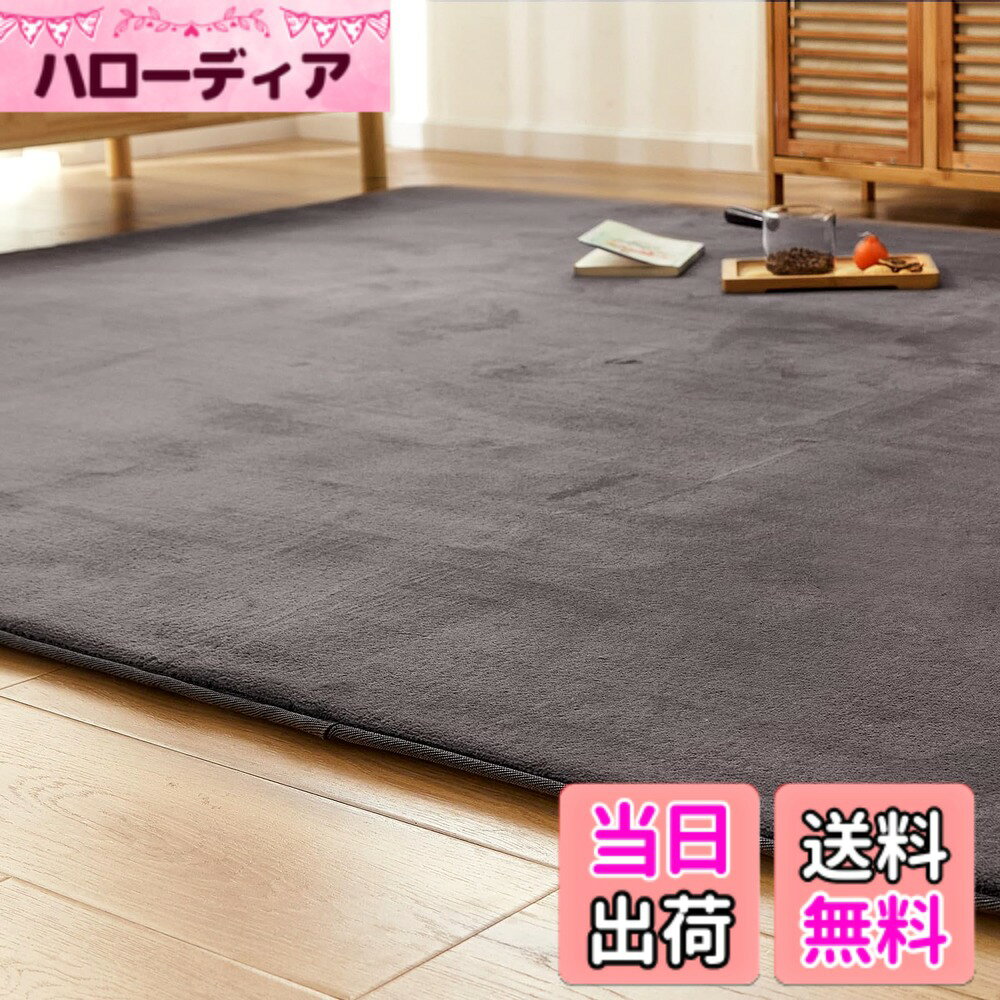【送料無料】VK Ingeroom カーペット ラグ 極厚25mm 厚手 ラグマット 防音 滑り止め付 抗菌 防臭 防ダニ 低ホルム ふわっと手触り高反発 オールシーズン快適 床暖房ホットカーペット対応 低反発と同じ厚み ゆか保護 冬用 北欧 おし 色：ダークグレー、サイズ：185x185cm