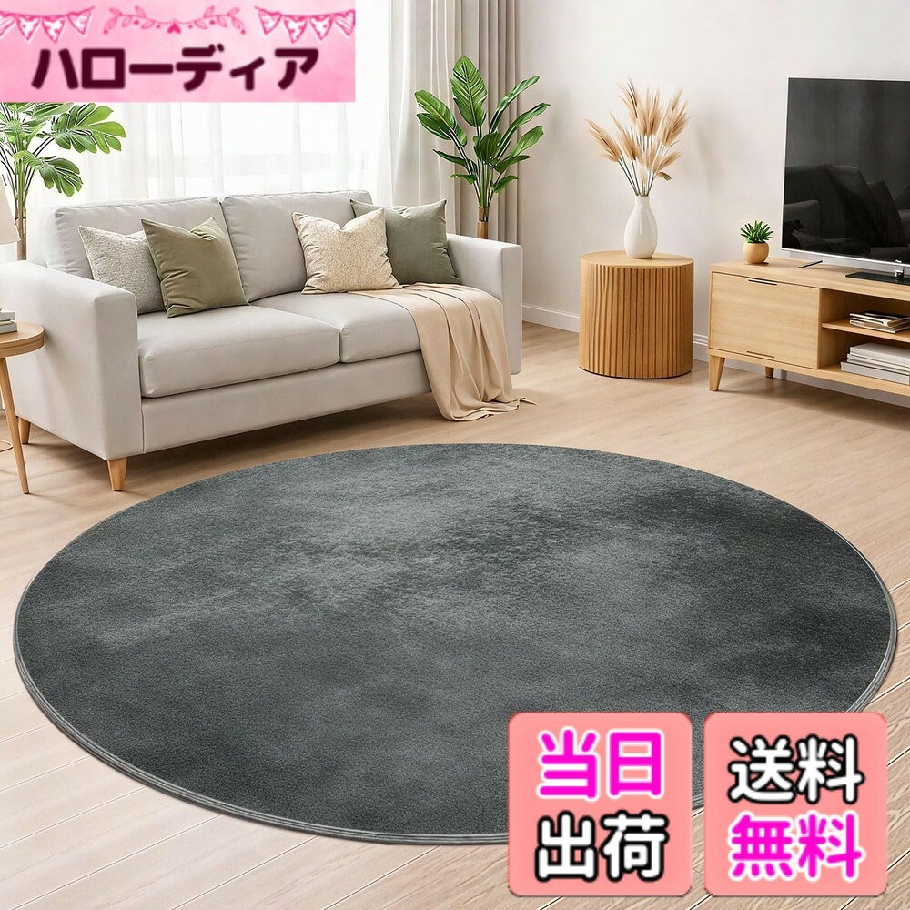 【送料無料】ラグ カーペット 色：グレー、サイズ：100 cm (円形)