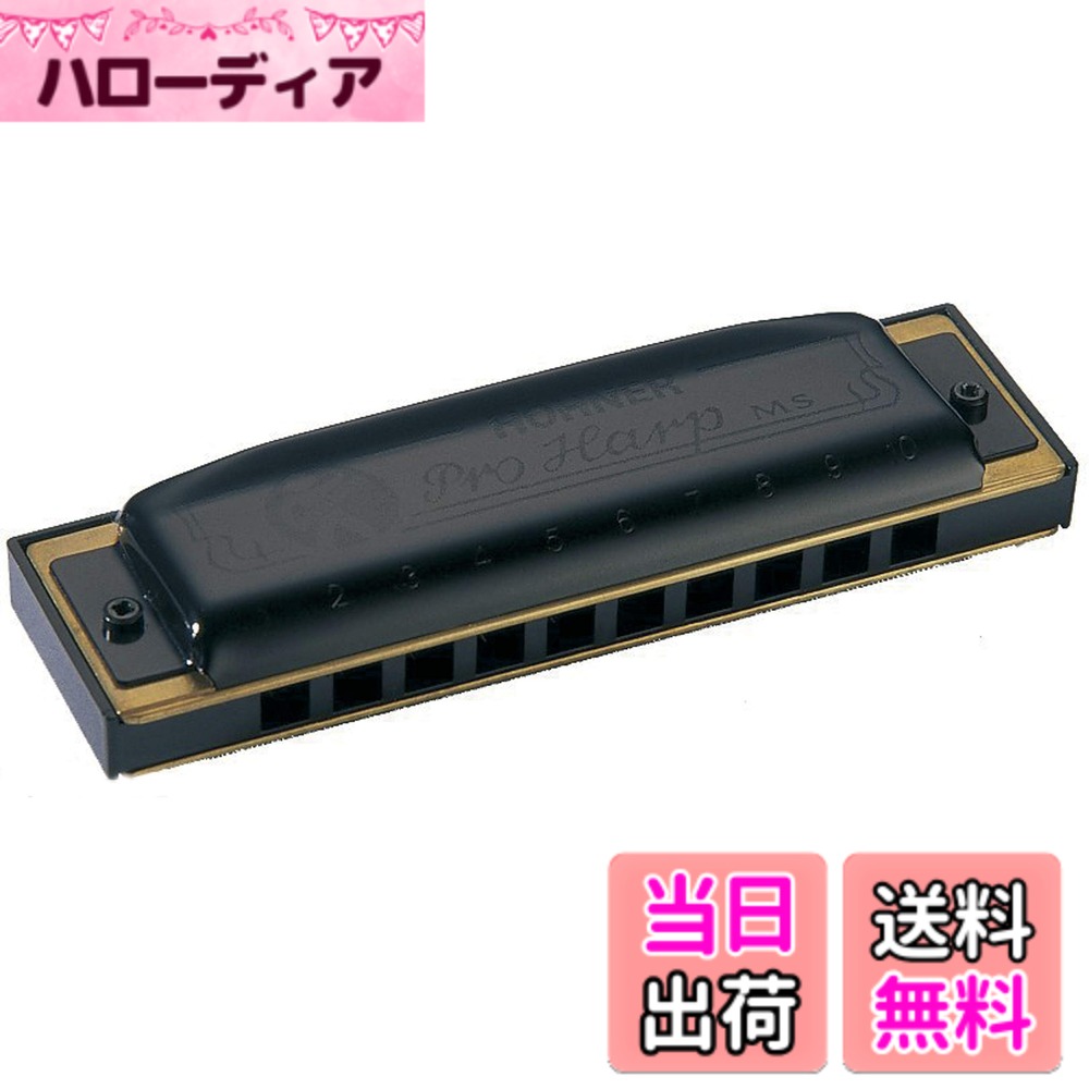【送料無料】HOHNER PRO HARP/D プロハープ 10ホールハーモニカ