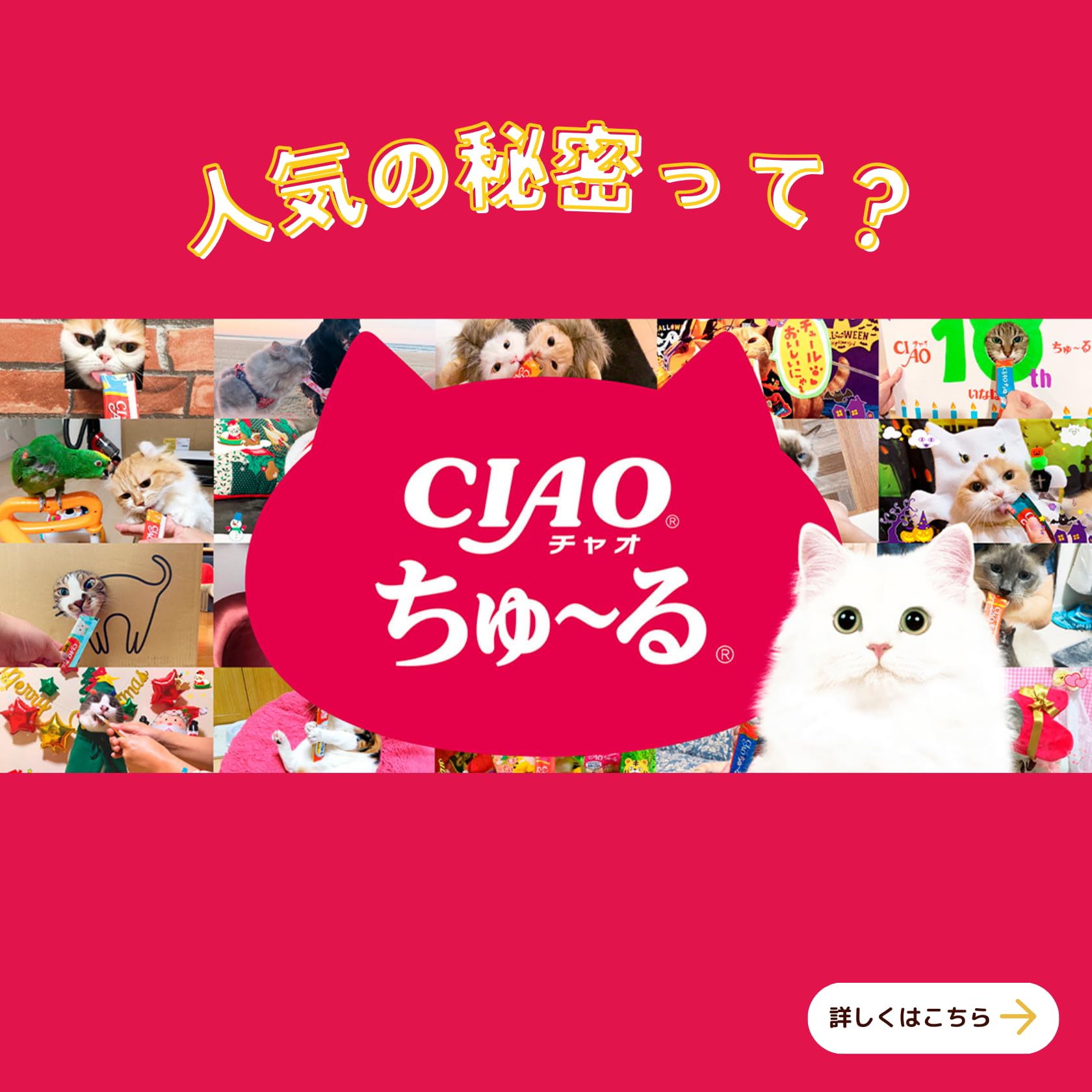 【送料無料】CIAOちゅ~る 色：まぐろ、サイズ：14グラム (x 40) hellodear-11050787 ハローディア楽天市場店 サンプル画像3