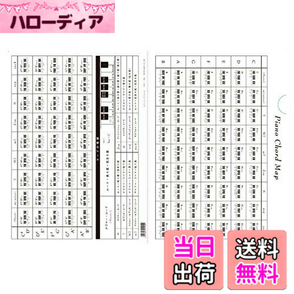樂天商城 - 【送料無料】オリジナルクリアファイル ピアノコードファイル PRSP-8 色：クリア