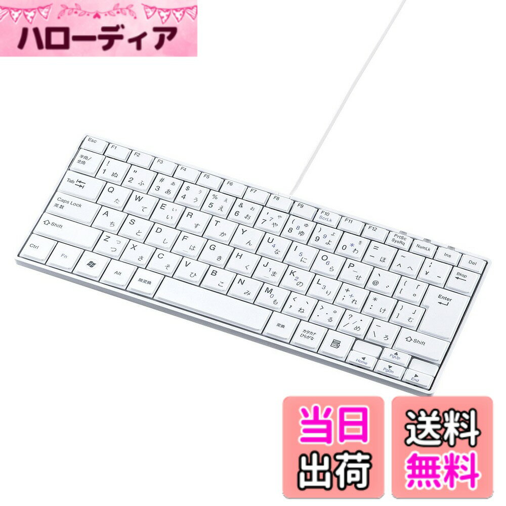 【送料無料】サンワサプライ USBスリムキーボード(テンキーなし) 色：ホワイト、サイズ：テンキーなし