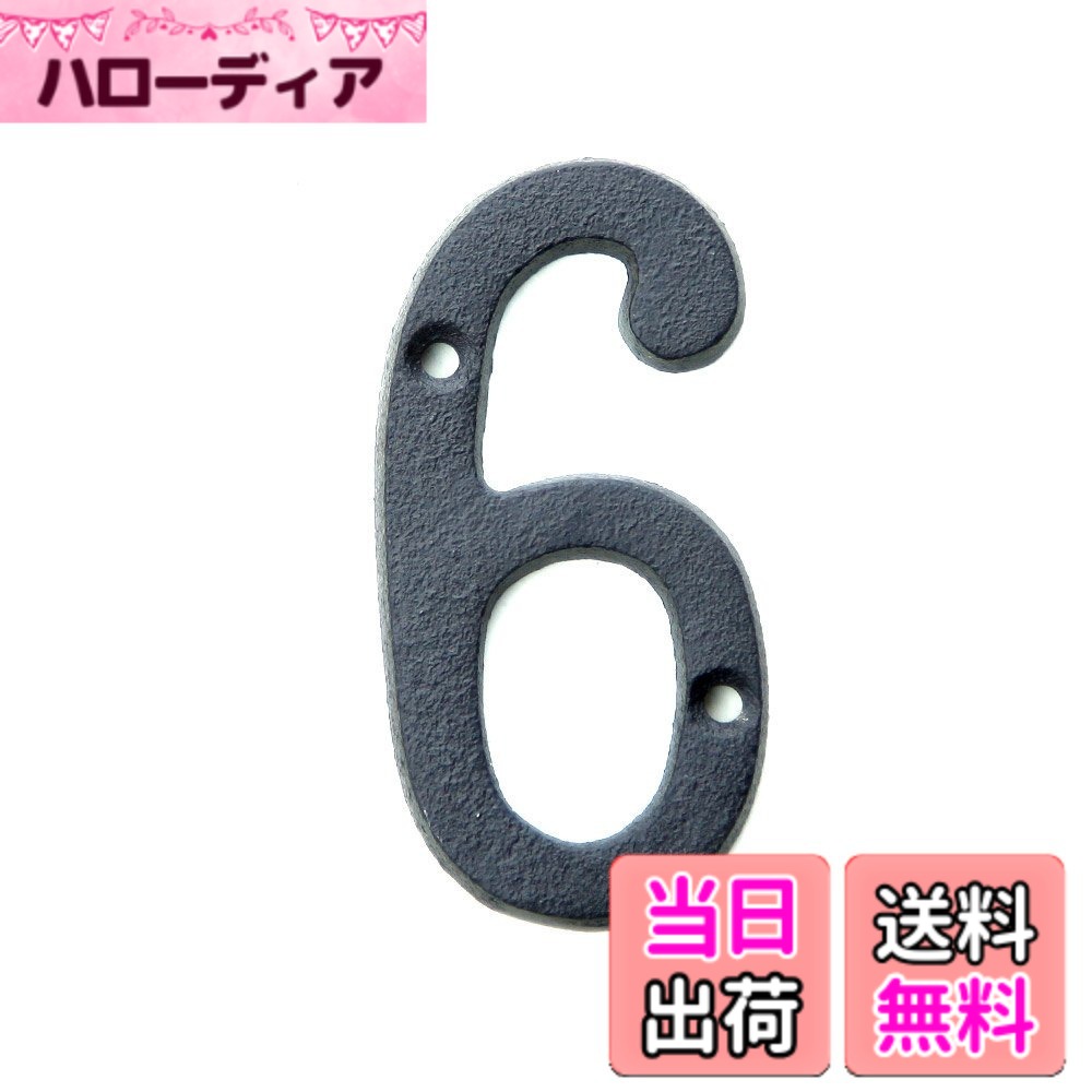 【送料無料】アイアン雑貨 アイアン アルファベット/CSZ 色：6、サイズ：大