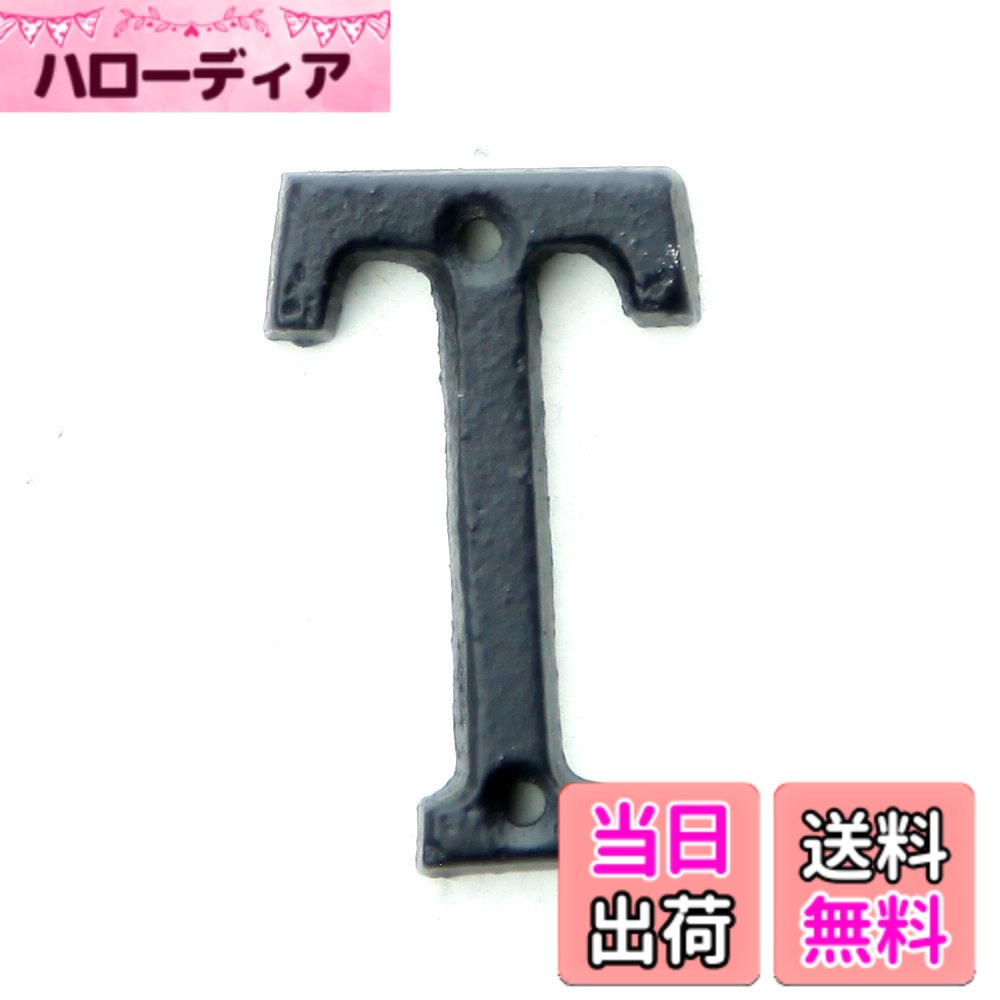 【送料無料】アイアン雑貨 アイアン アルファベット/CSZ 色：T、サイズ：小