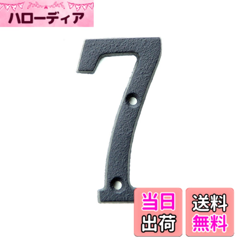 【送料無料】アイアン雑貨 アイアン アルファベット/CSZ 色：7、サイズ：大