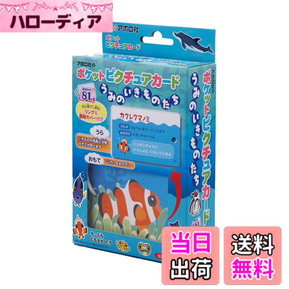 商品情報 商品の説明 説明 人気の魚イラスト作家「友永たろ」さんによる海の生物78種のカード。 裏面は生物の名前、分布、サイズ、正面のイラストが掲載されています。 身近な魚から水族館の人気もの、珍しい生物までたくさん登場。 特徴を捉えた可愛いイラストで楽しみながら学ぶことができます。 【ポイント1】たっぷり遊べる! :表紙を含め81枚のカードがあります。 【ポイント2】じっくり楽しむ! :絵本感覚でイラストをめくって問題を楽しめます。 【ポイント3】持ち運びに便利! :55x88mmでお子様の手にピッタリ、リング付きなので持ち運びが簡単です。 () 主な仕様 (C)友永たろサイズ:縦55mmx横85mm # 【送料無料】エポック社 【ポケットピクチュアカード】 うみのいきものたち 08-304 リング&amp;透明カバー付き 3歳以上 おもちゃ 海にいる生き物について知ることは、子どもの好奇心を育てる大切なステップです。しかし、どのように楽しく学ばせるかは、多くの保護者が頭を悩ませるポイントです。この商品は、人気魚イラスト作家「友永たろ」さんが描いた可愛い海の生物78種のカードです。カードを使って楽しく遊びながら、子どもたちに様々な海の生物を教えることができます。 このポケットピクチュアカードは、イラストがとても魅力的で、思わず手に取りたくなるデザインです。子どもたちは、魚の名前や分布、サイズを学ぶだけでなく、カード自体を使って友達と遊びながら、さまざまなバックグラウンドや物語を創造する力をつけることができます。 お子さんと一緒に学び、楽しむことができるこちらのアイテムは、成長をサポートする素晴らしい工具です。おもちゃとしての楽しさに加え、学習効果も期待できるのは、大きな魅力です。今すぐお子様にこのカードを手に取らせて、自宅で楽しく学ぶ時間を作りましょう。 ## 友永たろさんの魅力的なイラスト 「友永たろ」さんは、海の生物をテーマにした素晴らしいイラストを多く手がけています。このポケットピクチュアカードに描かれたイラストは、見ただけで心が躍ります。 カードには、まるで本物の生物が目の前にいるかのような迫力のあるデザインが施されています。お子様たちは、これらの美しいイラストを通じて、海の生物に対する興味を膨らませることができます。 また、78種類という豊富なラインナップは、海の中の多様性を教えるのに最適です。身近な魚から珍しい生物まで、バラエティーに富んだ内容が魅力です。この幅広さは、お子様の知識を深める手助けとなります。 さらに、カードの裏面には、生物の名前、分布、サイズが詳しく掲載されているため、学習にも非常に役立ちます。親子で一緒にカードを見ながら、楽しく学ぶことで、より深い理解を育むことができるでしょう。 このように、ただのおもちゃではなく、学びも提供するポケットピクチュアカードは、まさに家族で楽しむためのアイテムです。ぜひ、お子様と一緒に驚きと興奮の冒険を楽しんでください。 ## 使いやすさと便利なサイズ このポケットピクチュアカードは、持ち運びに便利なサイズが特長です。カードのサイズは縦55mm、横85mmで、子どもたちの小さな手にもピッタリです。また、リング付きで、カードを束ねておけるため、持ち運びがとても簡単です。 例えば、家族旅行や公園での遊びの途中にも、このカードを持って行けば、すぐに遊ぶことができます。長時間の移動中でも、子どもたちが退屈しないアイデアとして活用できます。 さらに、透明カバーが付いているため、カードを汚したり傷つけたりせずに保護できます。屋外で遊ぶ際にも気を使うことなく安心して遊ばせることができるため、親も安心です。 また、カードを通じてお子様の記憶力を促進することができるのも大きなポイントです。お子さんが自分でカードを選び、興味を持った生物について話すことで、自信を持ったコミュニケーション能力の向上にも寄与します。 このように、便利な機能が揃ったポケットピクチュアカードは、学びと遊びの両方を兼ね備え、大切なお子様の成長をサポートする最適なおもちゃです。ぜひ、家族で楽しみながら学ぶ機会を作ってください。 ## 遊び方と楽しみ方のアイデア このポケットピクチュアカードは、様々な遊び方で楽しむことができます。単にカードをめくるだけではなく、親子で楽しく学びながら、数々のゲームやアクティビティにアレンジできます。 例えば、カードを使ったクイズ形式のゲームや、同じ種類の生物を見つけるマッチングゲームなどが考えられます。これにより、遊びながら子どもたちの観察力や記憶力を鍛えることができます。 また、絵本感覚でストーリーを作りながらそれぞれの生物について話し合うことも一つの楽しみ方です。お子様の創造力を引き出す良い機会となります。 身近な生物の物語を作ることで、身近な自然に愛着を持つきっかけともなります。親子で話し合いながら、実際に子どもたちが海に行ったときにどの生物に会えるかを考えるのも楽しいでしょう。 こうした活動は、お子様にとって学びだけでなく、家族の絆を深める手助けにもなります。思い出に残る時間を共有し、新たな驚きや発見を一緒に体験することで、お子様の成長をサポートできるでしょう。 ぜひ、ポケットピクチュアカードを使って、楽しい学びの時間をお楽しみください。 ## まとめ - 人気の魚イラスト作家「友永たろ」さんの魅力的なイラスト。 - 持ち運びに便利で、旅行や外遊びにも最適。 - 遊びながら学べる多様な遊び方が楽しめる。 - 家族との絆を深めるための素晴らしいツール。 - お子様の好奇心と学習能力を自然に育てる。 このポケットピクチュアカードは、遊びを通じて学ぶ楽しさを提供します。ぜひご検討ください。