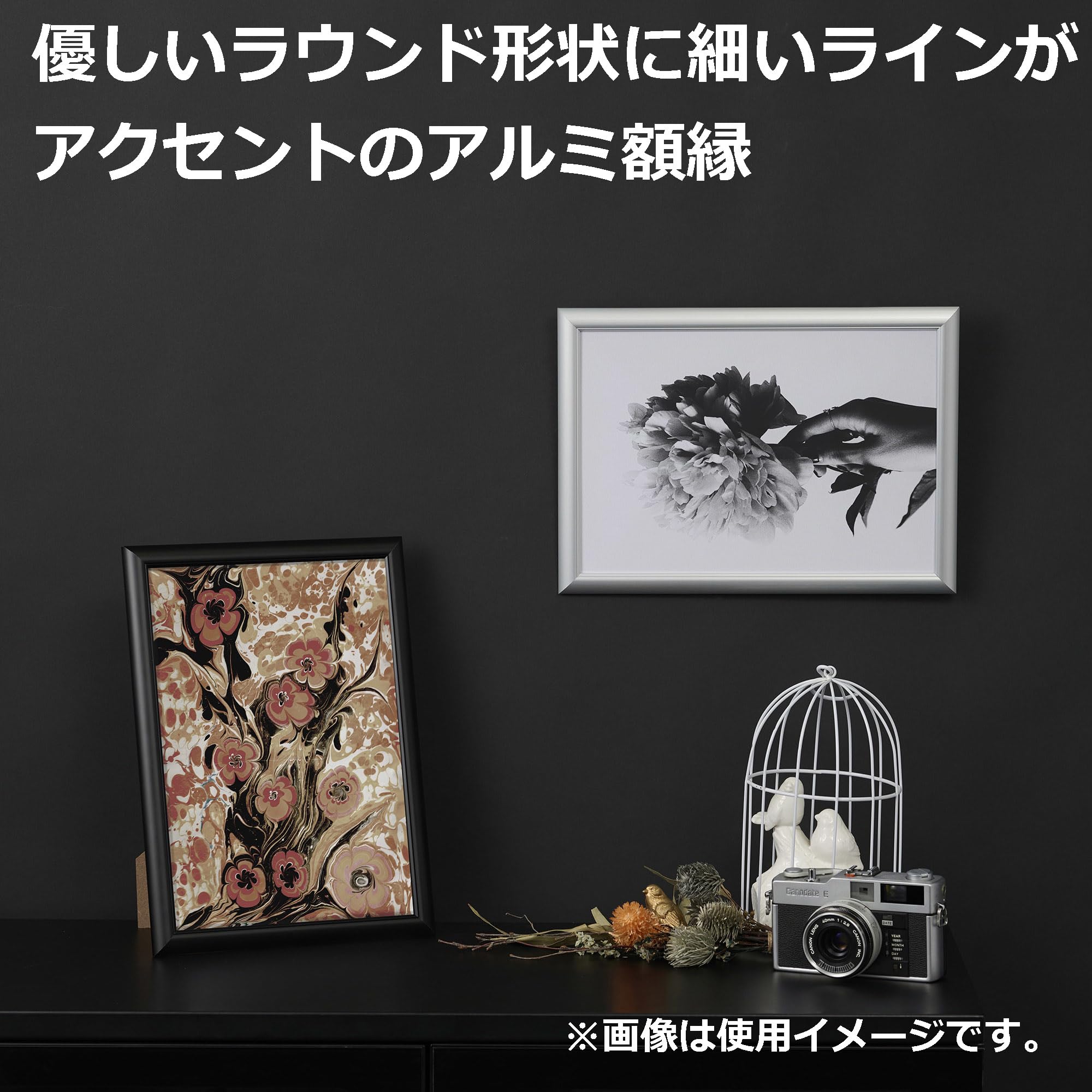 【送料無料】ハクバ 【限定】HAKUBA アルミ額縁 ペオリア 色：シルバー、サイズ：A3