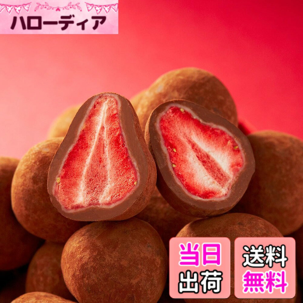 【送料無料】神戸フランツ フルーツトリュフシリーズ サイズ：90グラム...(3.0)
