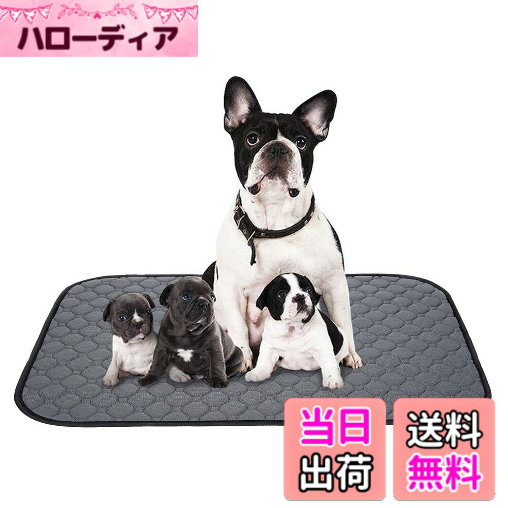 Dog Clipper - 【送料無料】ペットシーツ 洗える 猫 犬用 おしっこパッド ペット用 トイレ下敷きマット 速乾 洗える 大判サイズ 多頭飼いに最適 色：グレー、サイズ：XL(2枚セット)