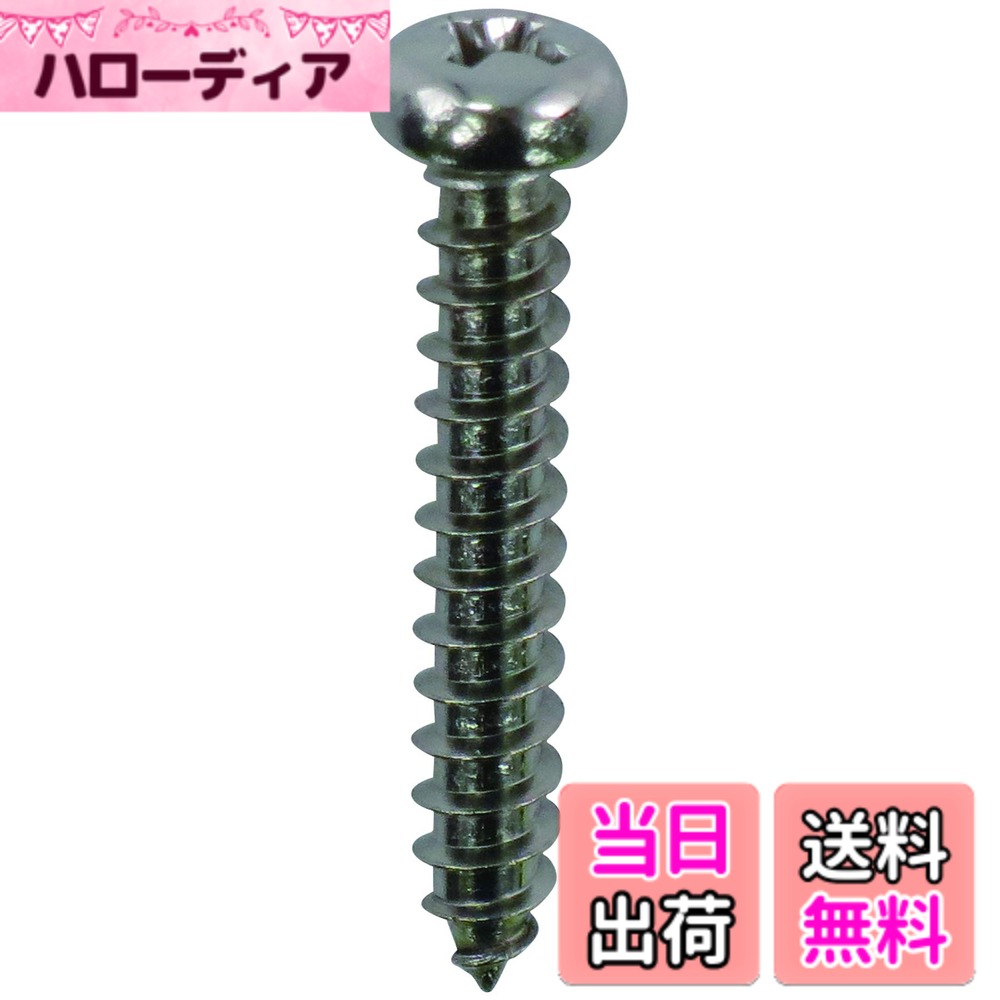 【送料無料】ダイドーハント (DAIDOHANT) ステンレス タッピングねじ [鍋頭] サイ...