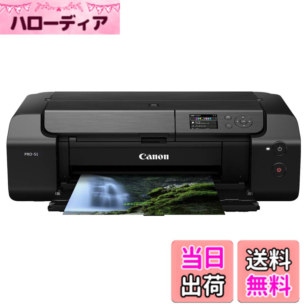  キヤノン Canon インクジェットプリンター imagePROGRAF PRO-G2 A3ノビ対応/高速プリント 画像堅牢性/Wi-Fi＆有線LAN対応/新10色インク 色：ブラック