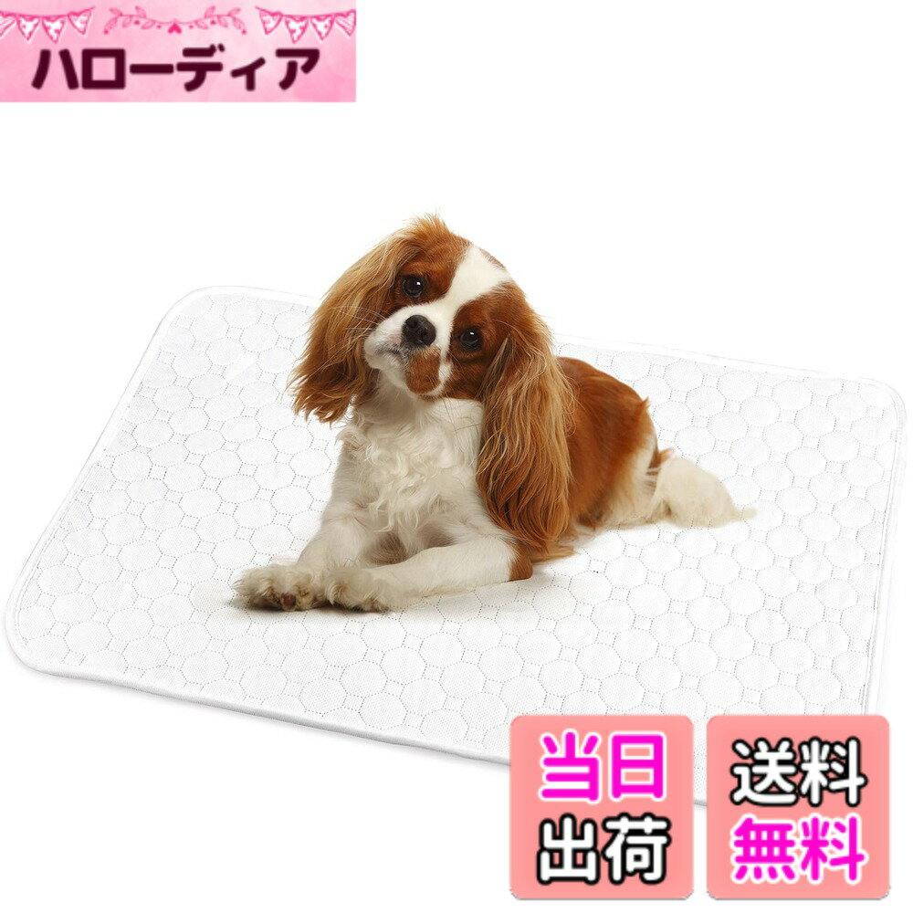 乐天商城 - 【送料無料】ペットシーツ 洗える 猫 犬用 おしっこパッド ペット用 トイレ下敷きマット 速乾 洗える 大判サイズ 多頭飼いに最適 色：ホワイト、サイズ：M（2枚セット）