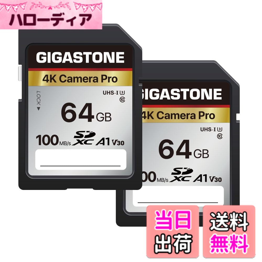 【送料無料】Camera Pro Series 7 色：64GB 4K Camera Pro 2枚セット