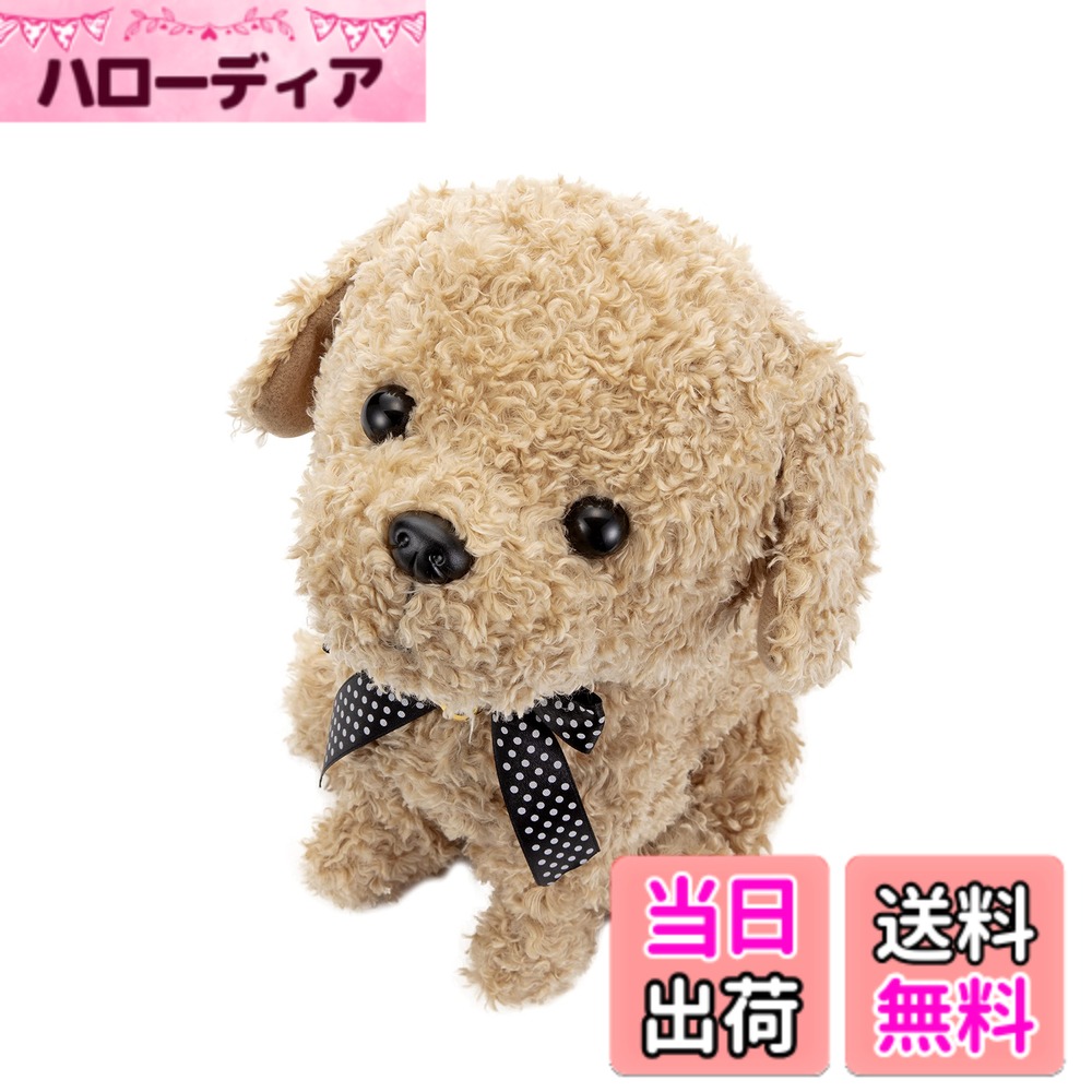 【送料無料】セガトイズ(SEGA TOYS) ココさかだちしてシリーズ...(3.0)