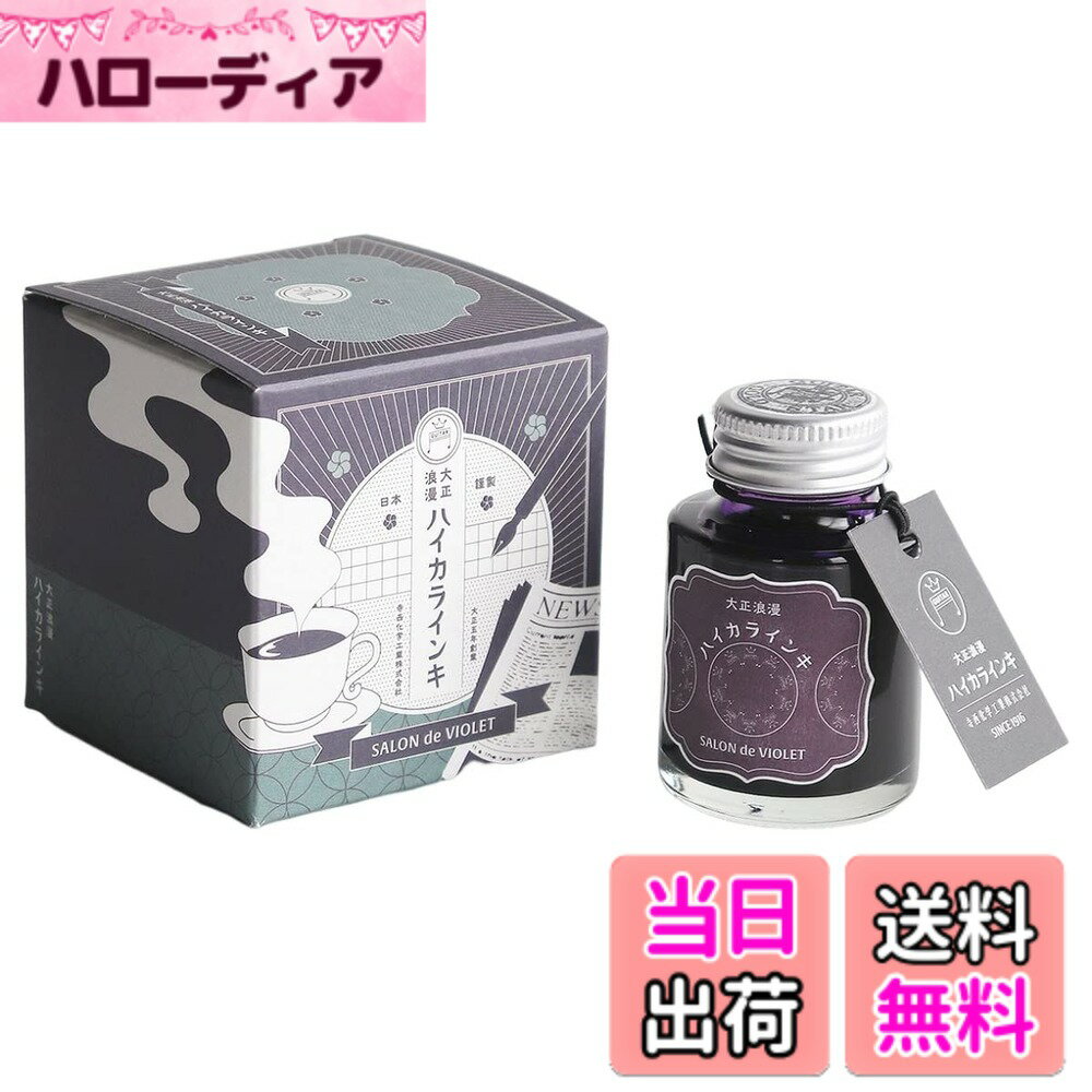 【送料無料】寺西化学 ギター 大正浪漫ハイカラインキ 色：バイオレット、サイズ：40 ml