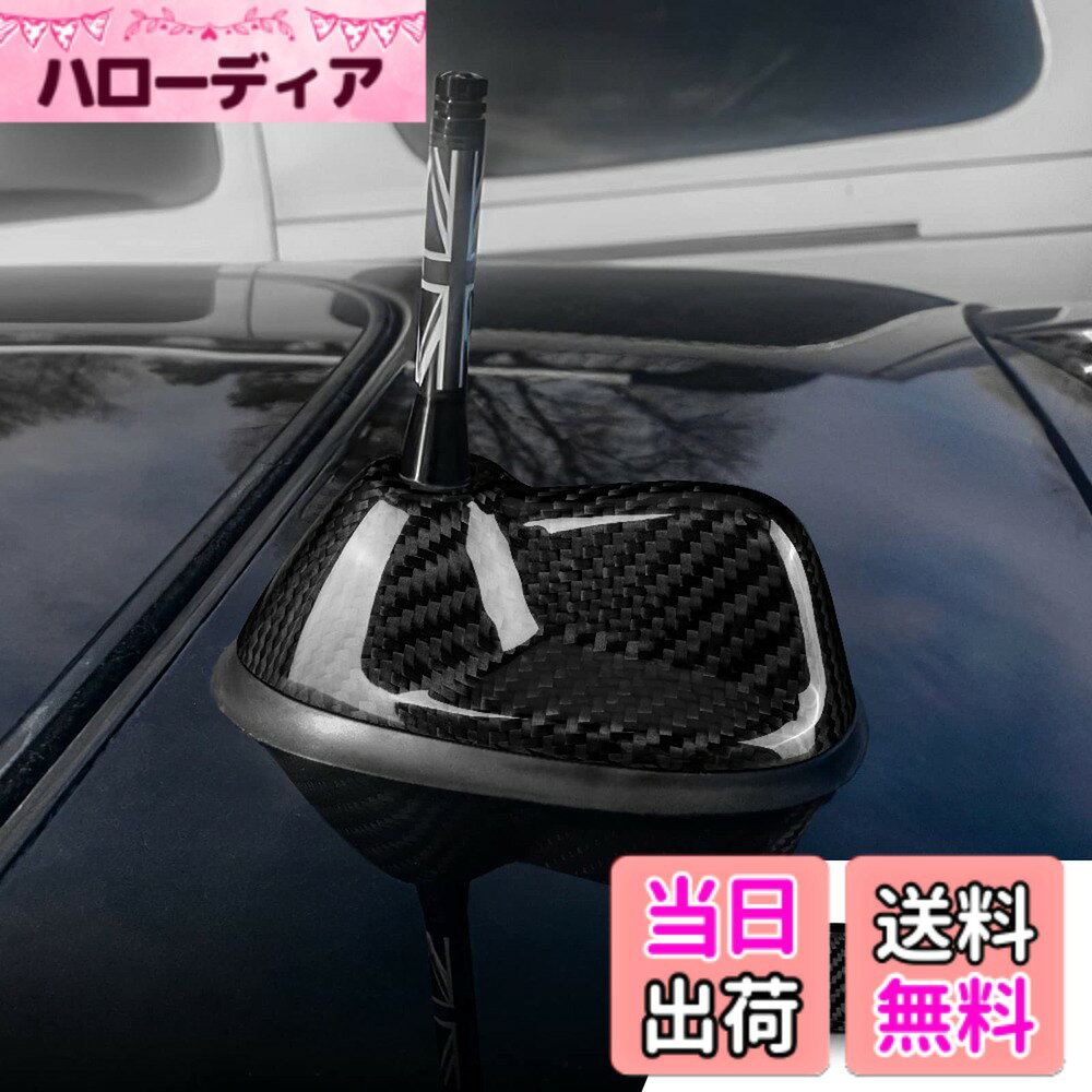 【送料無料】AIRSPEED カーボンファイバーカーシャークフィンアンテナカバー AMFM...