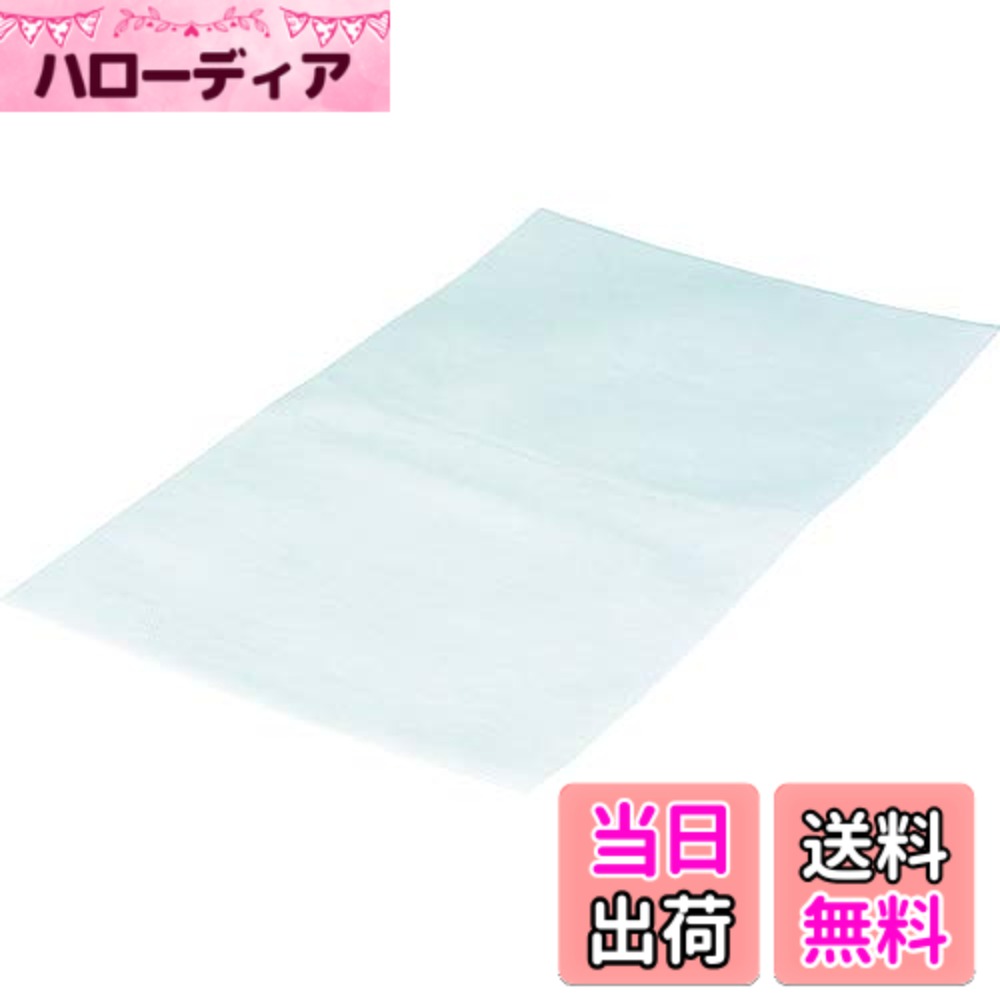 商品情報商品の説明特長 ・厚手で丈夫な不織布製の袋です。 ・ホコリや傷から商品を守るのにも使用可能です。 ・中に新聞紙などを入れて緩衝材代わりにもなります。 ・ソフトな質感ですが丈夫な不織布です。 用途 ・小物などの収納に。 ・贈り物のラッピングに。 ・簡単に何かを包みたいという時に最適です。 仕様・規格 ・厚さ:目付け50g/平米 ・色:白 ・縦(mm):480 ・横(mm):350主な仕様 材質:不織布質量・質量単位:180g