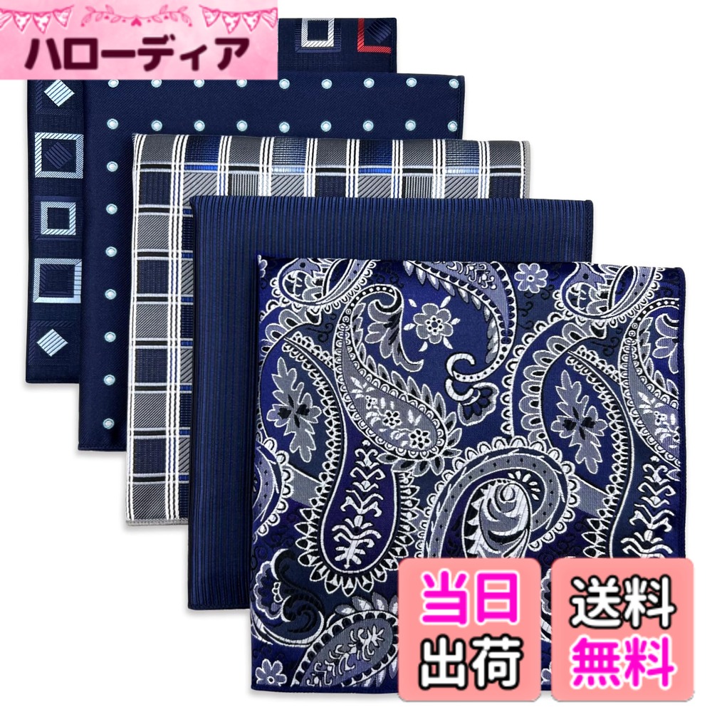【送料無料】(シッラクスとウイング) Shlax&Wing 5本メンズポケットチーフセットビジネスしまシルク 色：Set-106、サイズ：Set-106
