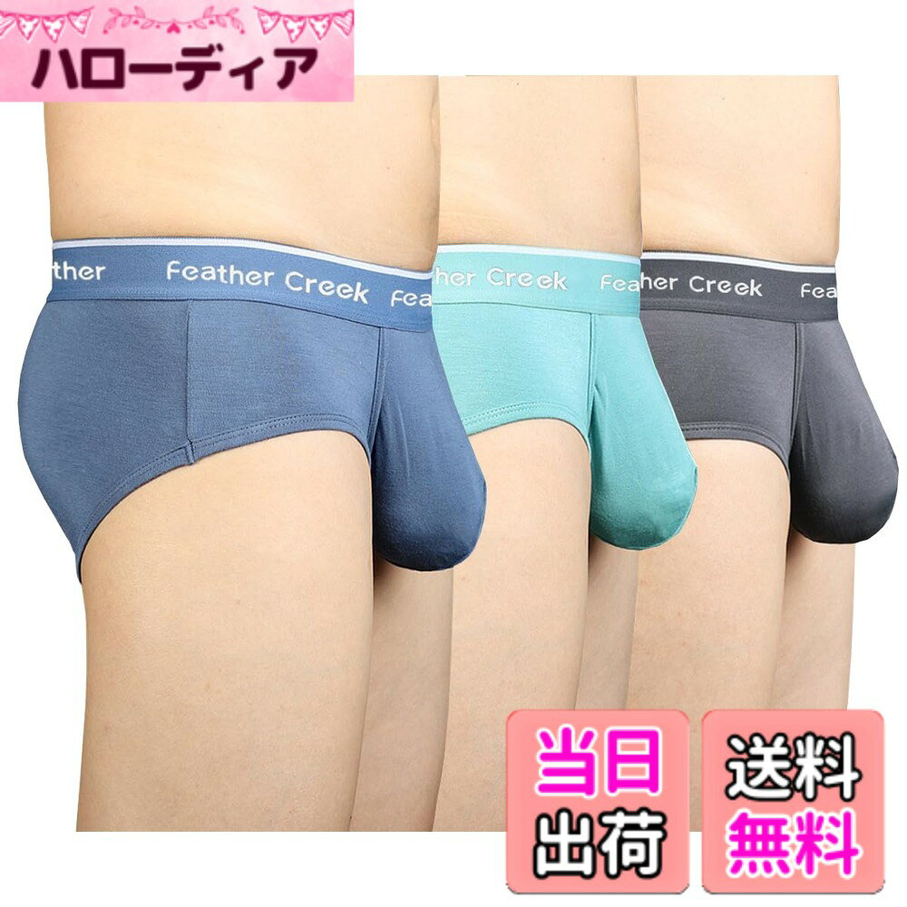 【送料無料】[Pastinde] ブリーフ メンズ 蒸れない モダール 下着 パンティー 立体...