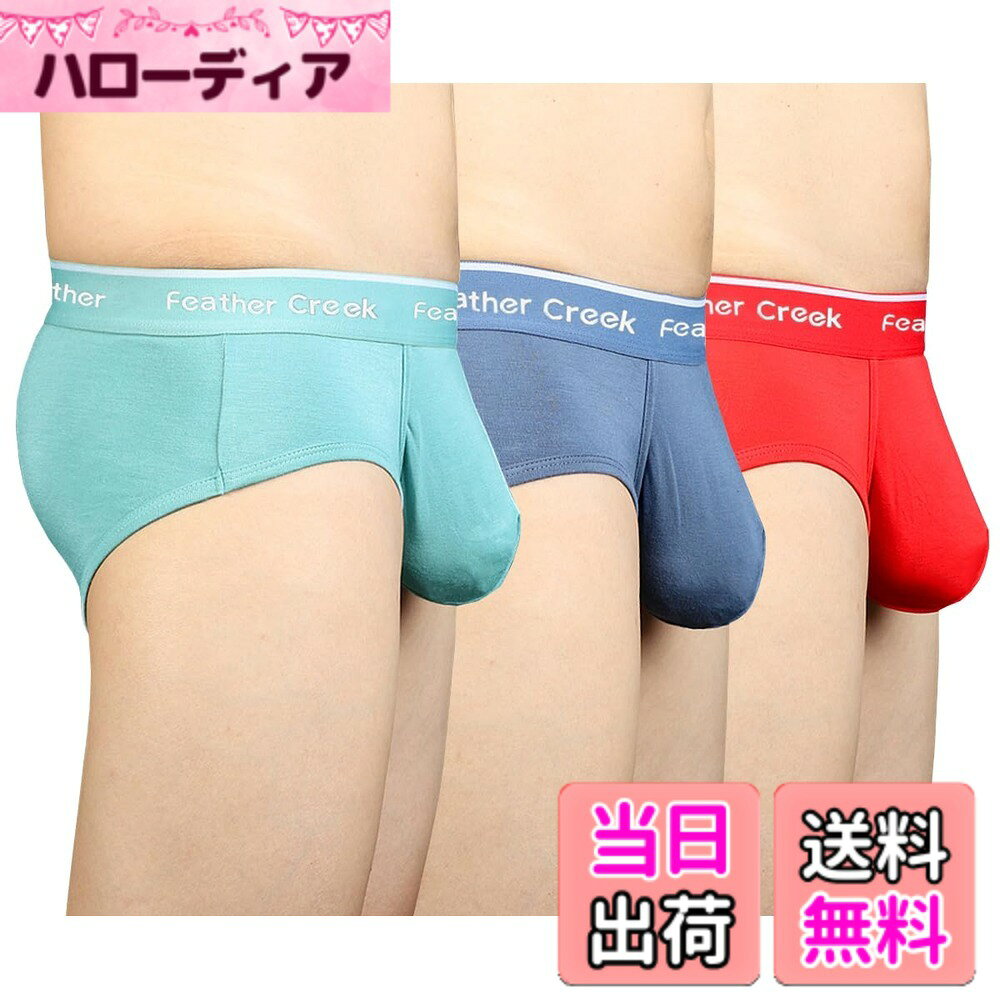 【送料無料】[Pastinde] ブリーフ メンズ 蒸れない モダール 下着 パンティー 立体...