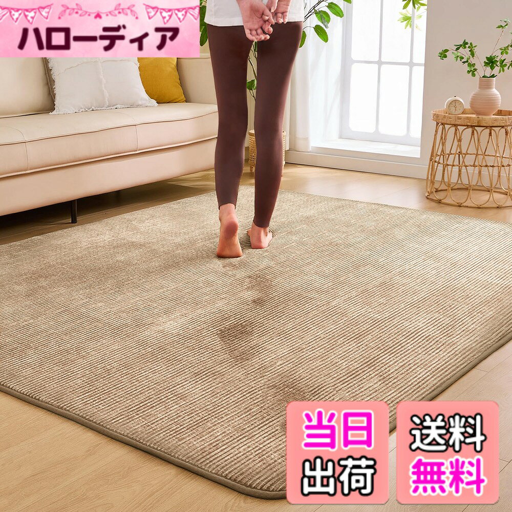 商品情報商品の説明主な仕様 【低反発・分散体圧】低反発ラグマット3 畳は優れたクッション性を持ち、踏み心地が非常に柔らかく、まるで雲の上を歩いているような感覚をお楽しみいただけます。ラグマットの魅力は、横になってリラックスする際の心地良さにあります【防ダニ防臭】この厚手ラグは肌に直接触れるため、ラグの品質には細心の注意を払っています。ラグマット3 畳の生地は非常に通気性が良く、防臭・防ダニ加工が施されており、細菌の繁殖を防ぎます。そのため、アレルギーが心配な方も使いいただけます【はっ水加工】液体がこぼれた場合でも、このラグは水滴の形で表面に留まるため、素早く拭き取ることができます。このラグは優れた耐汚性を持ち、お手入れが簡単です（完全防水ではないため、こぼれた液体はすぐに拭き取ってください）【滑り止め加工】このカーペット3 畳は床を保護するだけでなく、裏面に快適な滑り止め加工が施されています。床の上に置いても滑らないため、小さなお子様やお年寄りがいるご家庭でも使いいただけます。さらに、愛犬がカーペット3 畳の上で遊んでも、カーペット3 畳はしっかりとその場に留まります。快適でな住まいを作るための最適な選択です【丸洗いOK 】この低反発ラグは手洗いまたは洗濯機で洗えます（洗濯ネットの使用を推奨）。掃除機で簡単に清掃でき、フランネルの毛足の長さが適切で、汚れやホコリが絡みにくく、お手入れがとても簡単です