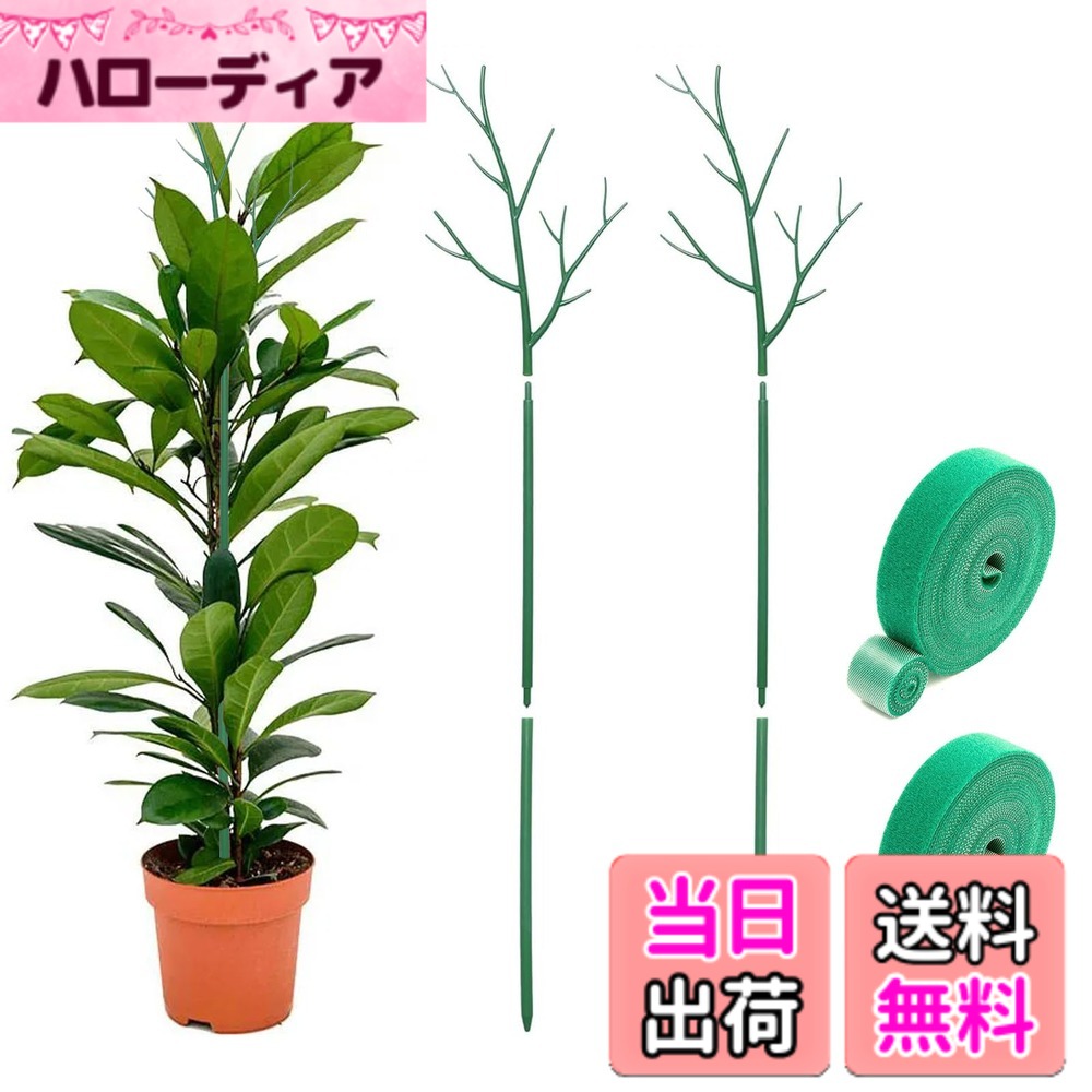 商品情報 商品の説明 商品の説明 サポートバーは優れた強度と器用な構造を持っており、安定性と耐久性に優れ、簡単に壊れたり変形したりせず、さまざまな気象条件に耐えることができ、長期間使用することができます。 組み立てが簡単で、使用も便利です。 様々な種類の果物、花、野菜に適しています。例えば、バラ、トマト、ユリ、シャクヤクなど、茎の細い植物に適しています。 また、屋内の鉢植えや観葉植物に、滑らかなラインと美しい外観を与えるためにも使用できます。 安全警告 慎重に取り扱ってください。先端が鋭いため、挿入や取り外しの際に怪我をする可能性があります。地下のインフラを損傷する可能性もありますので、慎重に挿入してください。 主な仕様 【高品質素材】植物の棒は良質のABS材料からなされ、強く、耐久、変形すること容易ではない、再使用可能で、長い耐用年数である。風や日差しを恐れず、老朽化しにくく、植物をしっかりと支えることができる。表面は滑らかで、触れても手や植物の茎を傷つけることはない。 【プロダクトデザイン】底部は先端が尖ったデザインで、土に差し込みやすい。 土に差し込む深さによってホルダーの長さを調節し、植物の高さに合わせます。植物の成長を妨げることなく、十分なスペースを確保しながら植物を支えることができる。緑色の支柱を使えば、植物の緑色と調和し、植物の楽しみを損なうことはない。 【サポート機能】サポート・バーは、単茎植物の転倒を防ぎ、直立を促進し、水平に成長する植物の広がりを防ぎ、茎の曲がりやもつれを防ぎ、保護するために使用される。また、一番上の株を支え、倒れないようにするために、株の上部に結びつけることもできる。 【適用範囲】クサリソウ、ヤシの木、トマト、ブドウ、カボチャ、キュウリなどの蔓や苗木に適しています。サポートポールを使用すると、滑らかなラインと美しい外観が実現し、植物をよりエレガントにします。 【パッケージ内容】パッケージには、100cm の緑色のサポート ポール 2 本と、2 メートルの緑色の粘着ストラップ 2 本が含まれています。付属品完備で使いやすい。植物の形を整え、まっすぐ健康に育つようサポートし、枝が広がって倒れるのを防ぎ、植物の枝が横に伸びて場所を取るのを防ぐのに最適。 # 【送料無料】TVETE 植物サポート 園芸支柱 観葉植物用支柱 100cm プラントスタンド フラワーサポート 2点セット グリーン 近年、自宅での植物育てが人気を集めています。しかし、茎が細い植物や成長するにつれて倒れてしまうことが気になる方も多いのではないでしょうか。そんな悩みをお持ちの方に、TVETEの植物サポートが解決策を提供します。この支柱は、丈夫で耐久性に優れており、どんな気候でも安心して使用できます。簡単に設置でき、安定したサポートを提供するため、植物たちもまっすぐ成長することができます。さらに、2点セットになっているので、複数の植物にも対応可能です。ご自宅の観葉植物やお庭の花々をしっかりと支えて、健康的に育てるための必需品です。 ## 高品質素材で安心 TVETEの植物サポートは、良質なABS材料を使用しており、強度や耐久性に優れています。この素材は、耐候性が高く、風や日差しにも強いのが特長です。これにより、長期間使用しても劣化しにくく、安心して植物を支えてくれます。また、表面が滑らかになっているため、植物の茎を傷める心配もありません。さらに、安定した構造から、どんな気象条件でも安心してお使いいただけます。これにより、成長段階にある植物たちをしっかりサポートし、健やかな育成を実現します。 支柱の設置も非常に簡単です。底部が先端の尖ったデザインになっているため、土に差し込みやすく、初心者の方でも手軽に扱えるのが魅力です。また、土に差し込む深さを調整することで、植物の高さに合わせて使用することができます。植物が成長するにつれて、必要に応じて支柱の位置を調整できる点も、非常に便利です。このように、使い勝手の良さもTVETEの植物サポートの大きな魅力となっています。 ## 最適なデザインと機能 植物を支えるために設計されたTVETEの支柱は、さまざまなタイプの植物に対応可能です。特に、茎の細いバラやユリ、トマトといった植物のサポートに最適です。単茎植物の倒れを防ぎ、しっかりと直立させることで、水平に成長することを妨げず、美しい形状を保つことができます。これにより、見た目も整った美しい植物に育てることができます。 また、支柱には加工された緑色のデザインが施されており、植物との調和が取れるようになっています。これによって、支柱が目立つことなく自然に溶け込むため、観葉植物の美しさを損なうことはありません。この点は、特に室内で植物を育てる多くの方にとって重要な要素です。さらに、支柱の上部に植物を結びつけることで、より安定したサポートを実現します。この独自のデザインと機能が、TVETEの支柱の大きな魅力です。 ## さまざまなシーンで役立つ TVETEの植物サポートは、観葉植物だけでなく、家庭菜園やガーデニングにも幅広く対応しています。特に、トマトやキュウリといった蔓のある野菜や、ブドウやカボチャといった果実を育てる際にも、その効果を発揮します。支柱を使うことで、植物が健康に育ち、直立した状態を保ちながら空間を有効に活用できます。 特に、成長期の植物においては、支柱を使用することで日光が均等に当たりやすくなります。自宅での農作業がしやすくなるだけでなく、果実や花の品質向上にも寄与します。このように、TVETEの植物サポートは、ただの支柱ではなく、植物の成長を確実にサポートするパートナーとも言えます。 パッケージには、100cmの支柱が2本と、植物の茎を固定するための粘着ストラップが2本含まれています。これにより、すぐに使い始めることができ、面倒な準備は不要です。植物の形を整え、倒れないようしっかりと支えることで、よりエレガントな印象を与えることができます。お部屋や庭を華やかに演出するためにも、ぜひご活用ください。 ## 注意点とお手入れ TVETEの植物サポートを使用する際には、いくつかの注意点があります。まず、先端が鋭角なので、取り扱う際には注意が必要です。挿入や取り外しを行うときには、自分や周囲の安全を確認すると良いでしょう。また、地下に埋まっている配線や配管に気をつけながら作業を行うことも重要です。 お手入れに関しては、支柱は耐候性があるため基本的には水洗いのみで大丈夫ですが、長期間使用するうちに汚れてくることもあります。その際は、柔らかい布で拭くことで清潔さを保てます。また、使用しないシーズンには、収納場所を確保して劣化を防ぐことも良いアイデアです。 このように、TVETEの植物サポートは多くのメリットを持ちつつ、注意点もありますが、しっかりとご利用いただければ、あなたの植物ライフを豊かにする頼もしいアイテムになることでしょう。ぜひ、あなたの植物育てのパートナーとして、TVETEの植物サポートを選んでみてください。 ## まとめ - TVETEの植物サポートは高品質なABS素材を使用しており、強度と耐久性に優れています。 - 簡単に設置できるデザインで、様々な植物に対応可能です。 - 支柱を使うことで植物がまっすぐ育ち、美しい形を保ちます。 - バリエーション豊かな用途があり、家庭菜園や観葉植物に最適です。 - 注意点を把握し、安全にお手入れを行えば、長くご愛用いただけます。