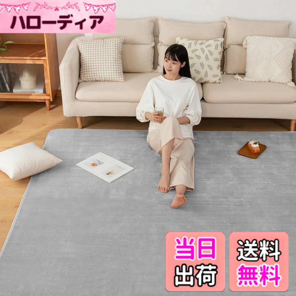 【送料無料】Sun Deco カーペット 洗える ラグマットSD-I001-FT-C 色：グレー、サイズ：135x185cm