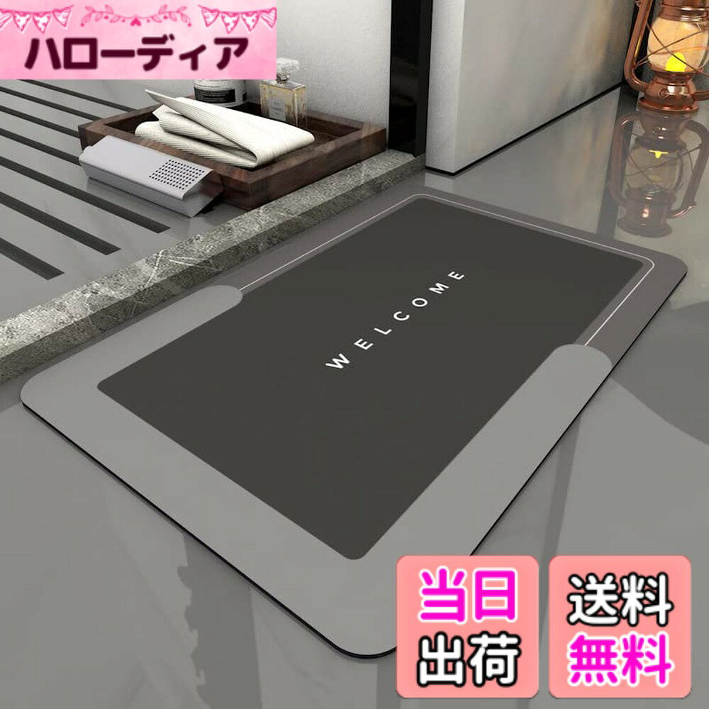 【送料無料】珪藻土 バスマット ソフト 大きめ 小さめ 洗える マット お風呂マット 速乾 足拭きマット 柔らか バスルーム 割れない 大判 珪藻土マット 水切りマット 吸水 厚手 浴室 洗面所 脱衣所 色：D.WELCOME、サイズ：40cmx60cmx4mm